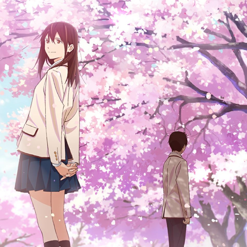 Kimi No Suizou Wo Tabetai Wallpapers Wallpaper Cave