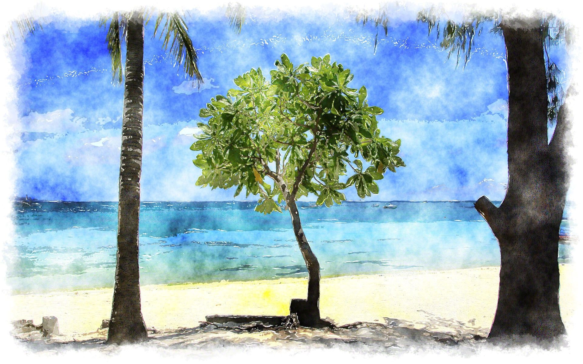 Tropical Watercolor Wallpapers Wallpaper Cave