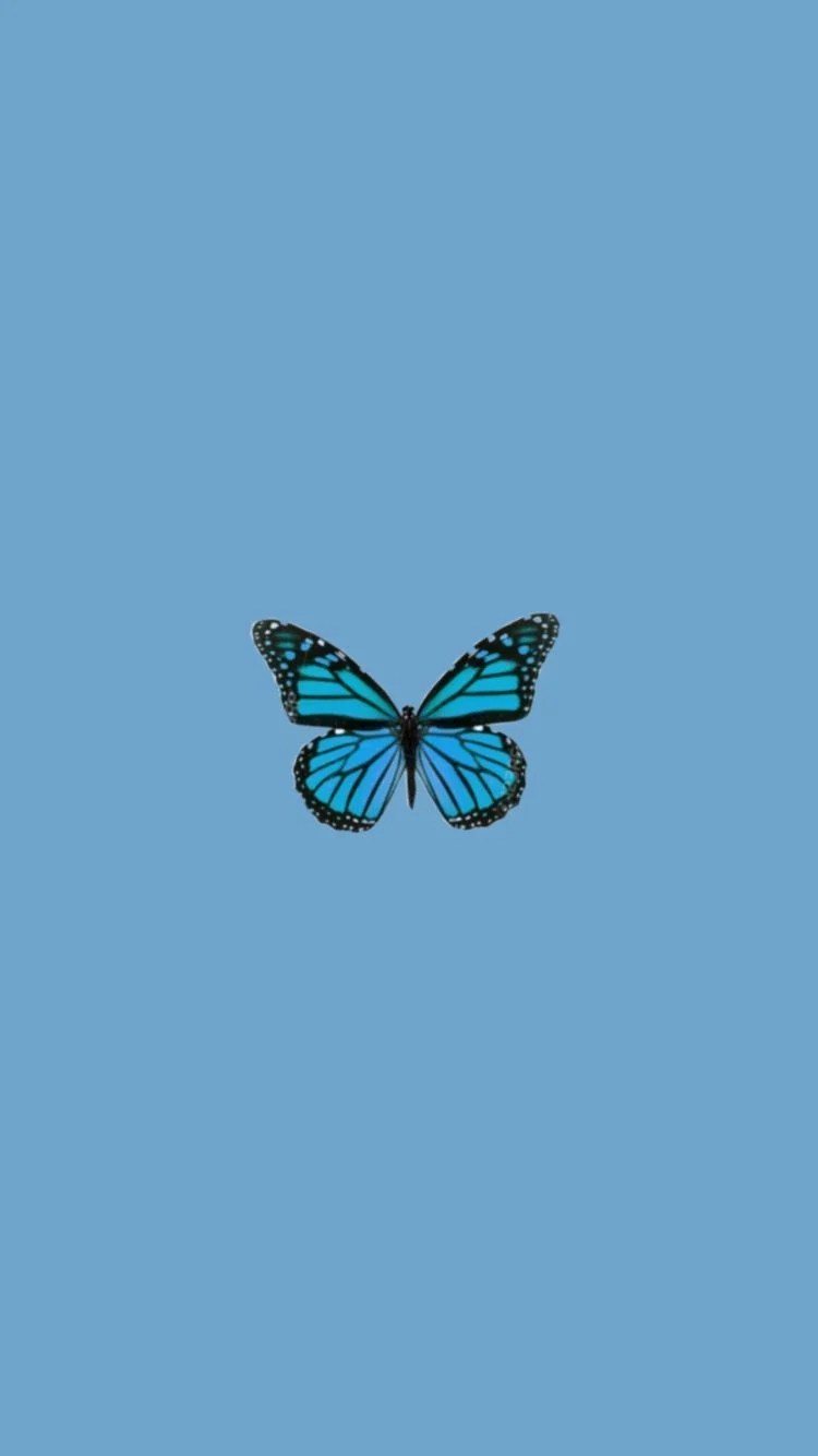 Aesthetic Wallpapers For Laptop Blue Butterfly From the Ground