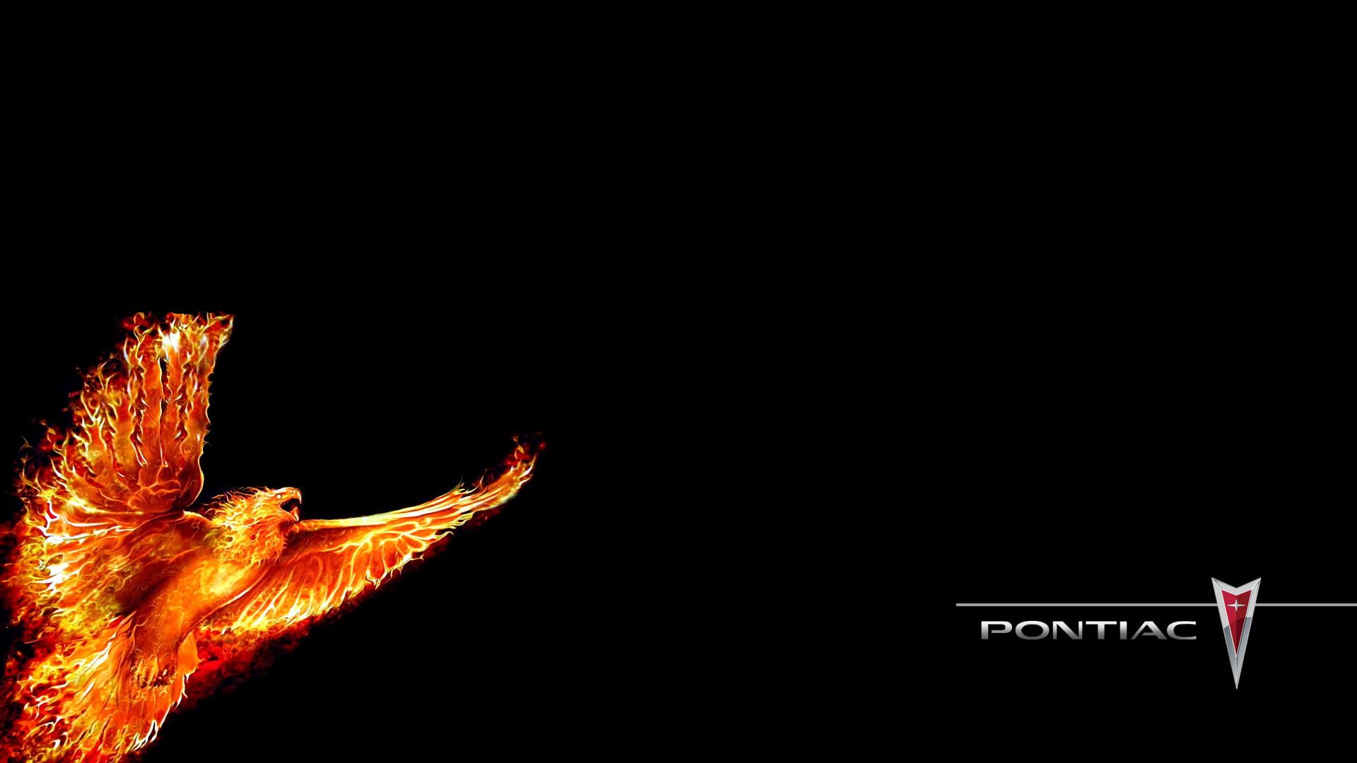 The Firebird Wallpapers Wallpaper Cave