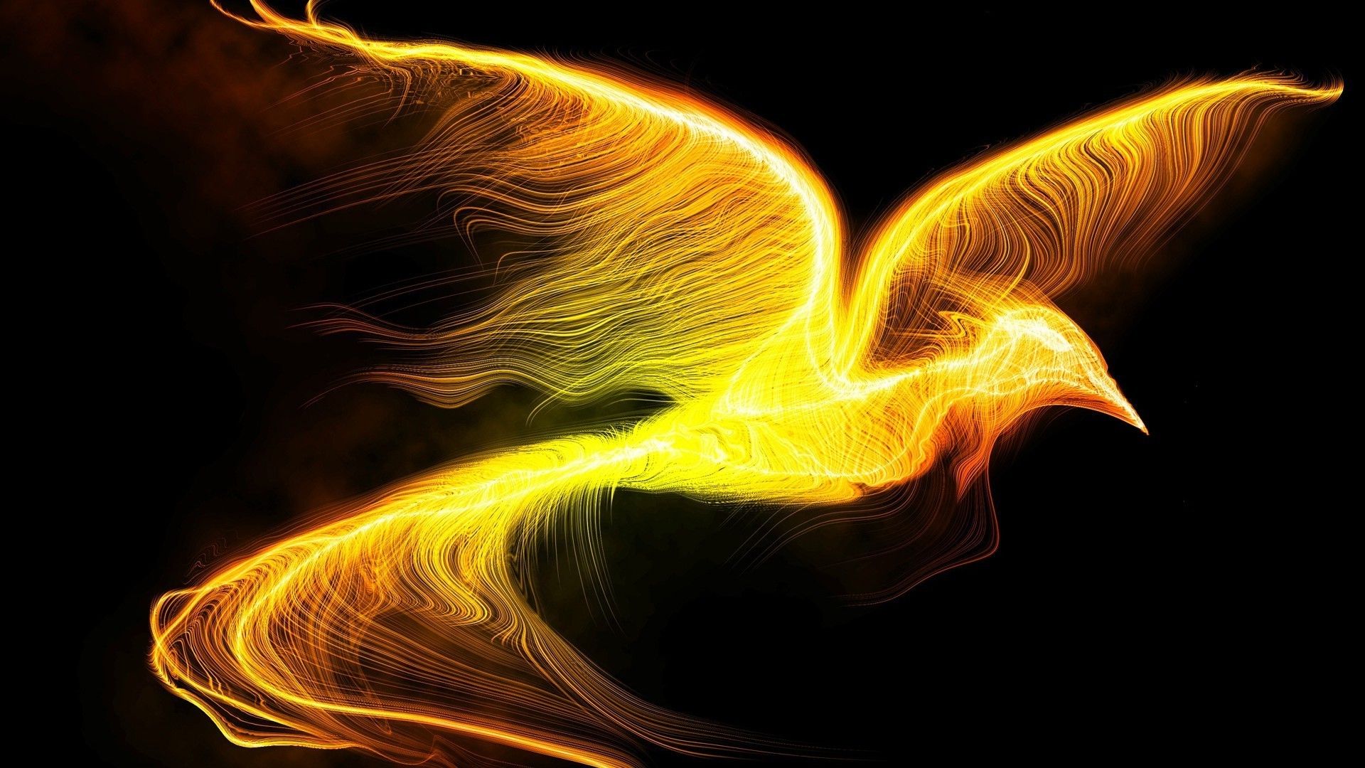 The Firebird Wallpapers Wallpaper Cave