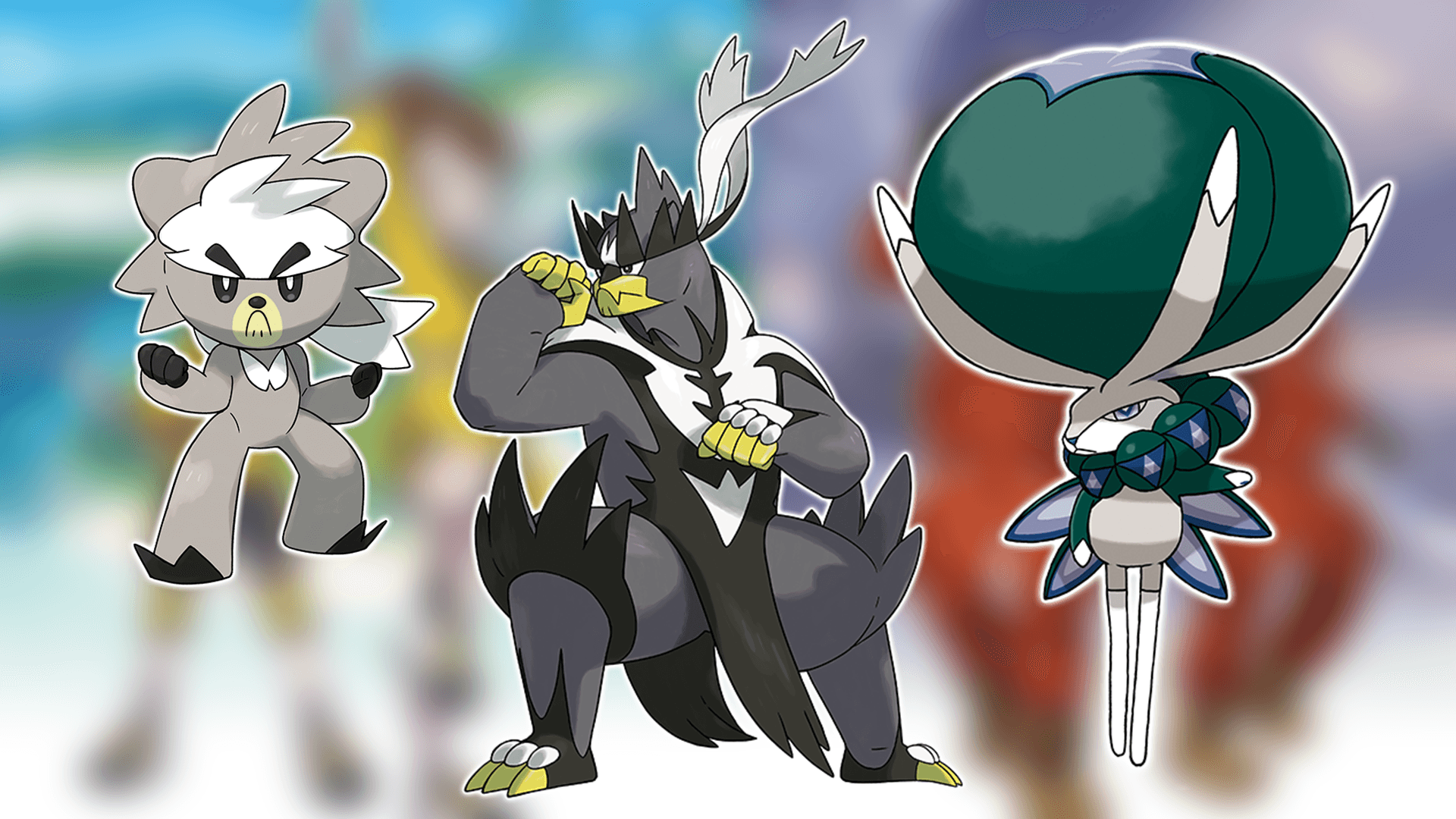 Kubfu Wallpapers Wallpaper Cave