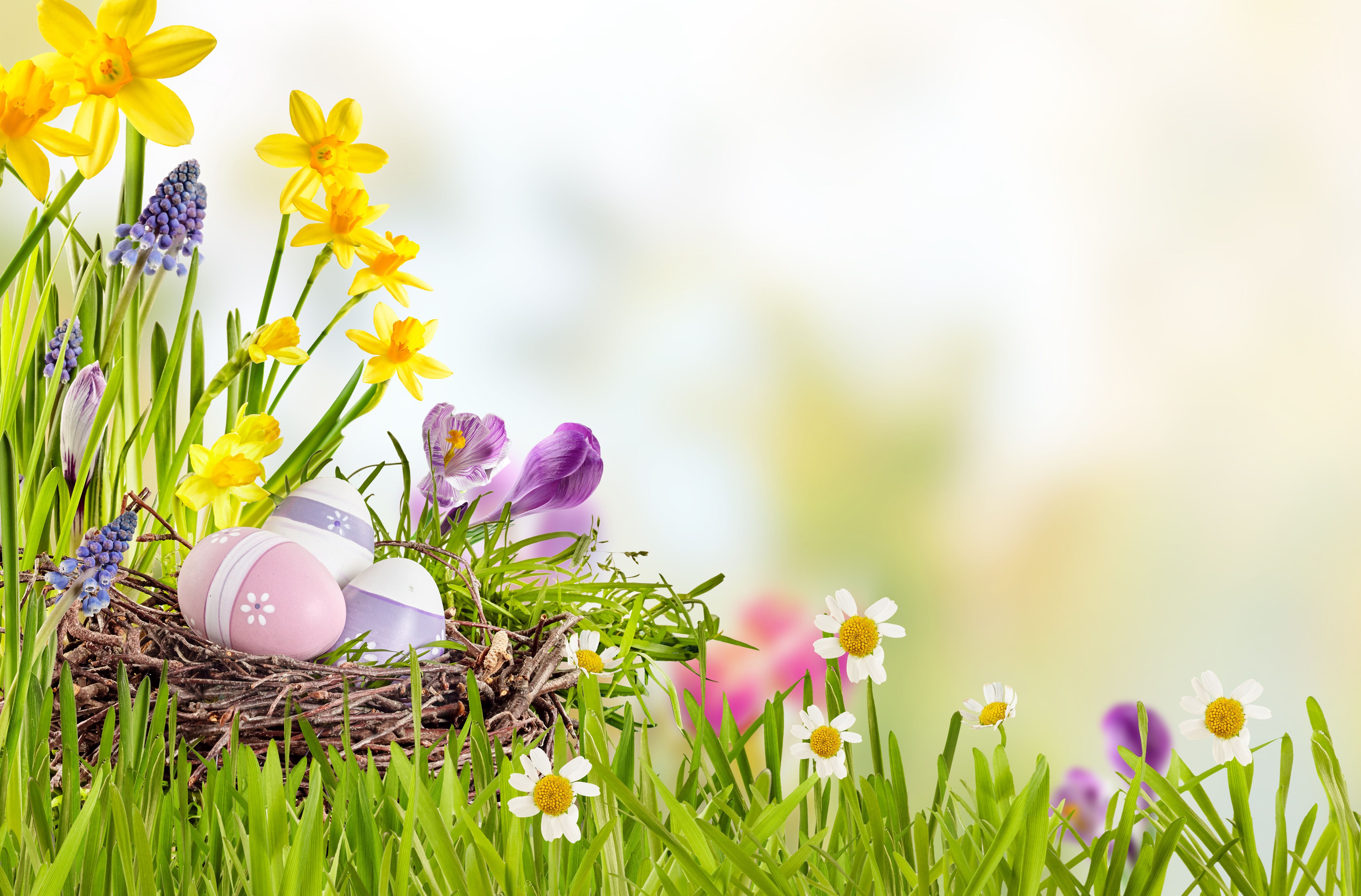 Easter Basket Wallpapers Wallpaper Cave