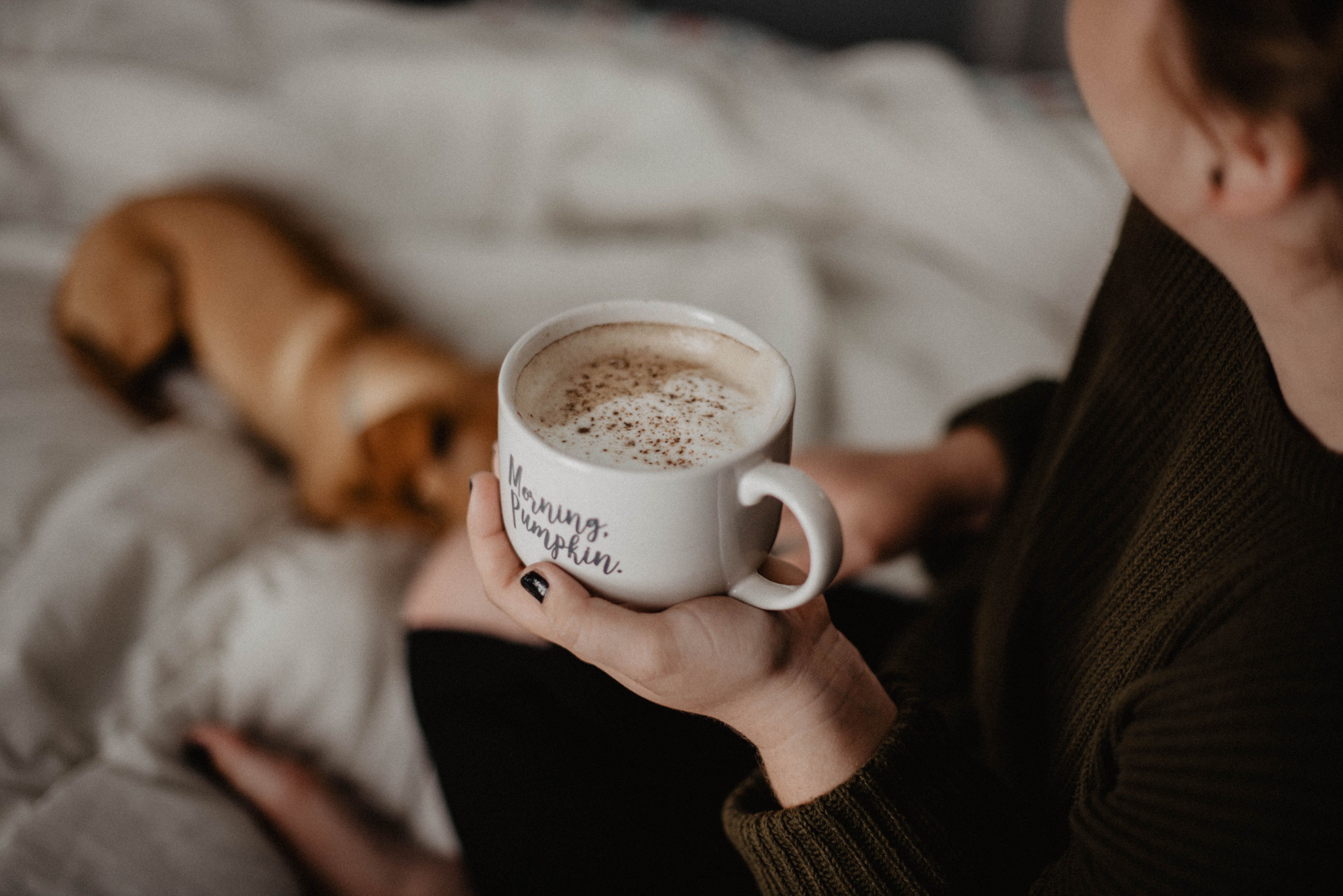 Coffee Dog Wallpapers Wallpaper Cave