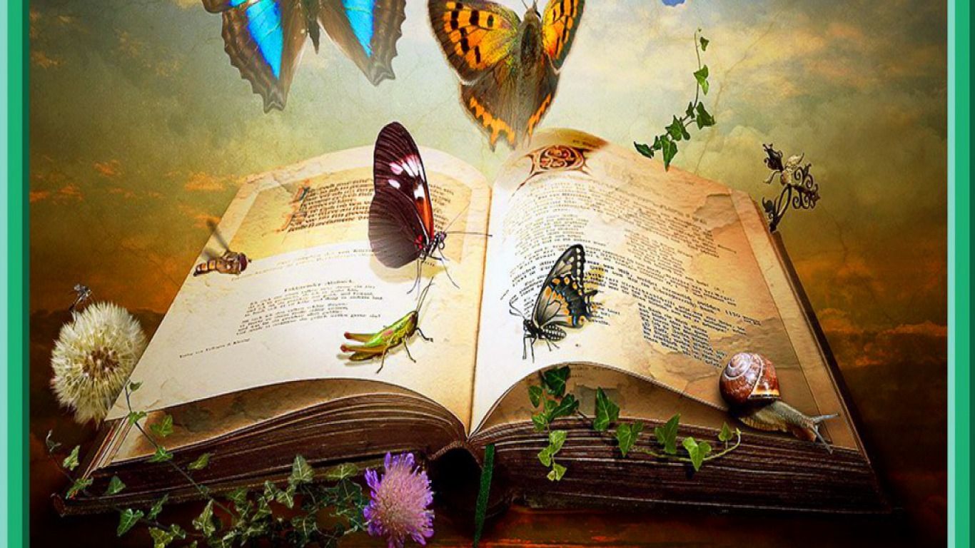 Art Books Wallpapers Wallpaper Cave