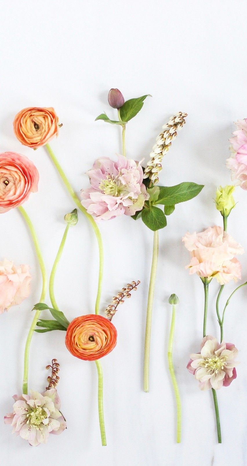 Spring Simple Wallpapers Wallpaper Cave