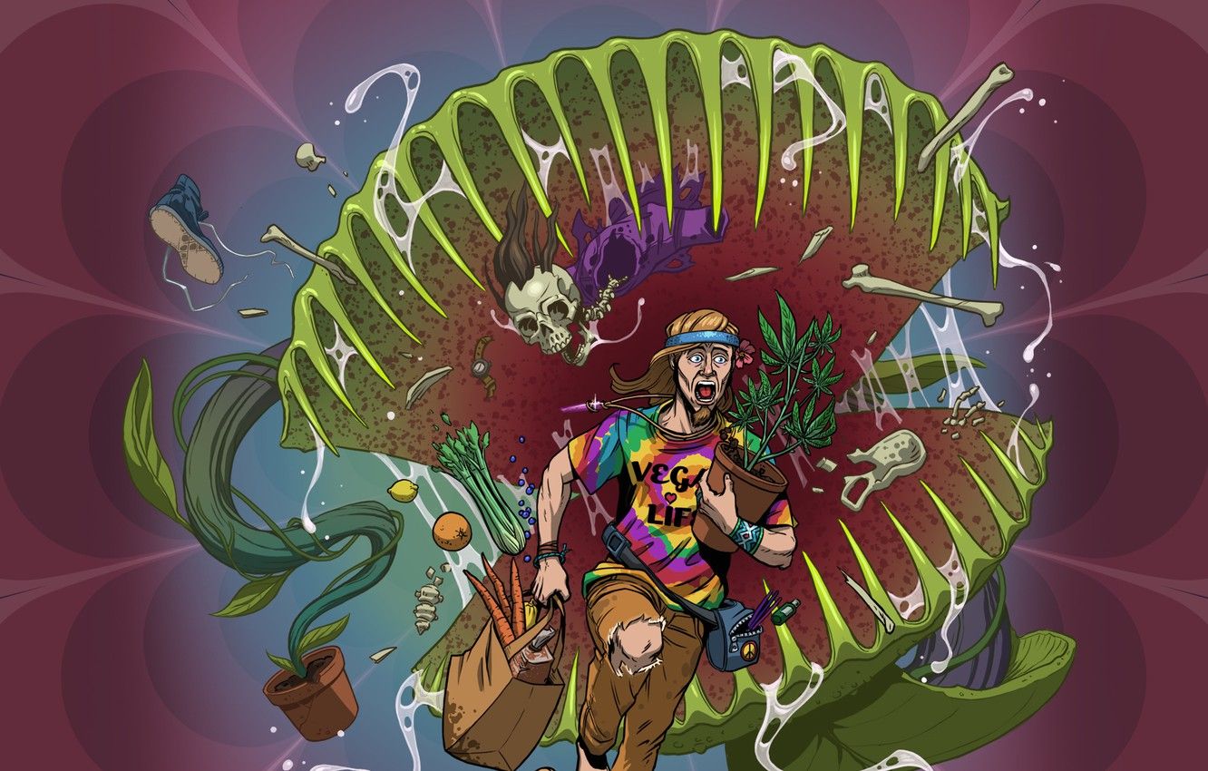 Venus Fly Trap Wallpapers Wallpaper Cave