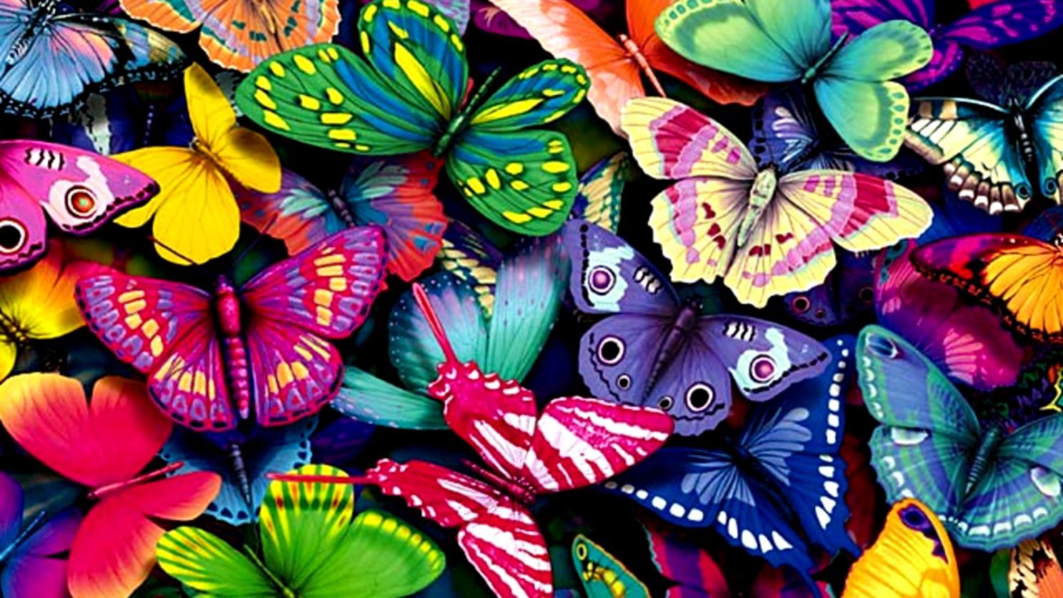 Tumblr Butterfly Wallpapers Wallpaper Cave