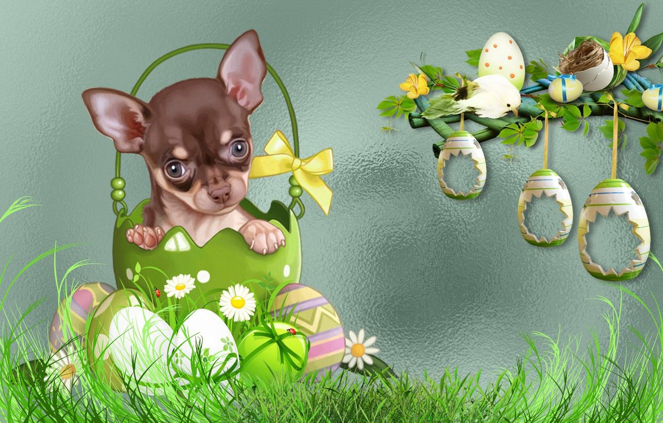 Dog Easter Wallpapers Wallpaper Cave