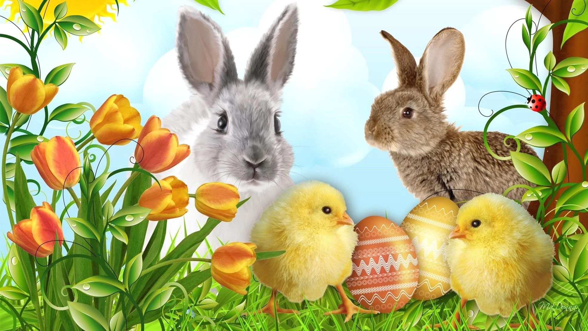 Animal Easter Wallpapers Wallpaper Cave