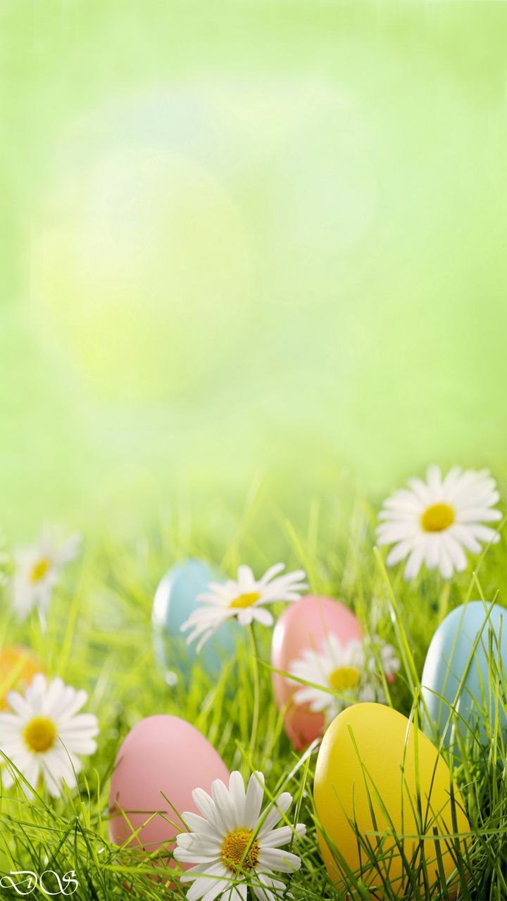 Cute Easter Girl Wallpapers Wallpaper Cave