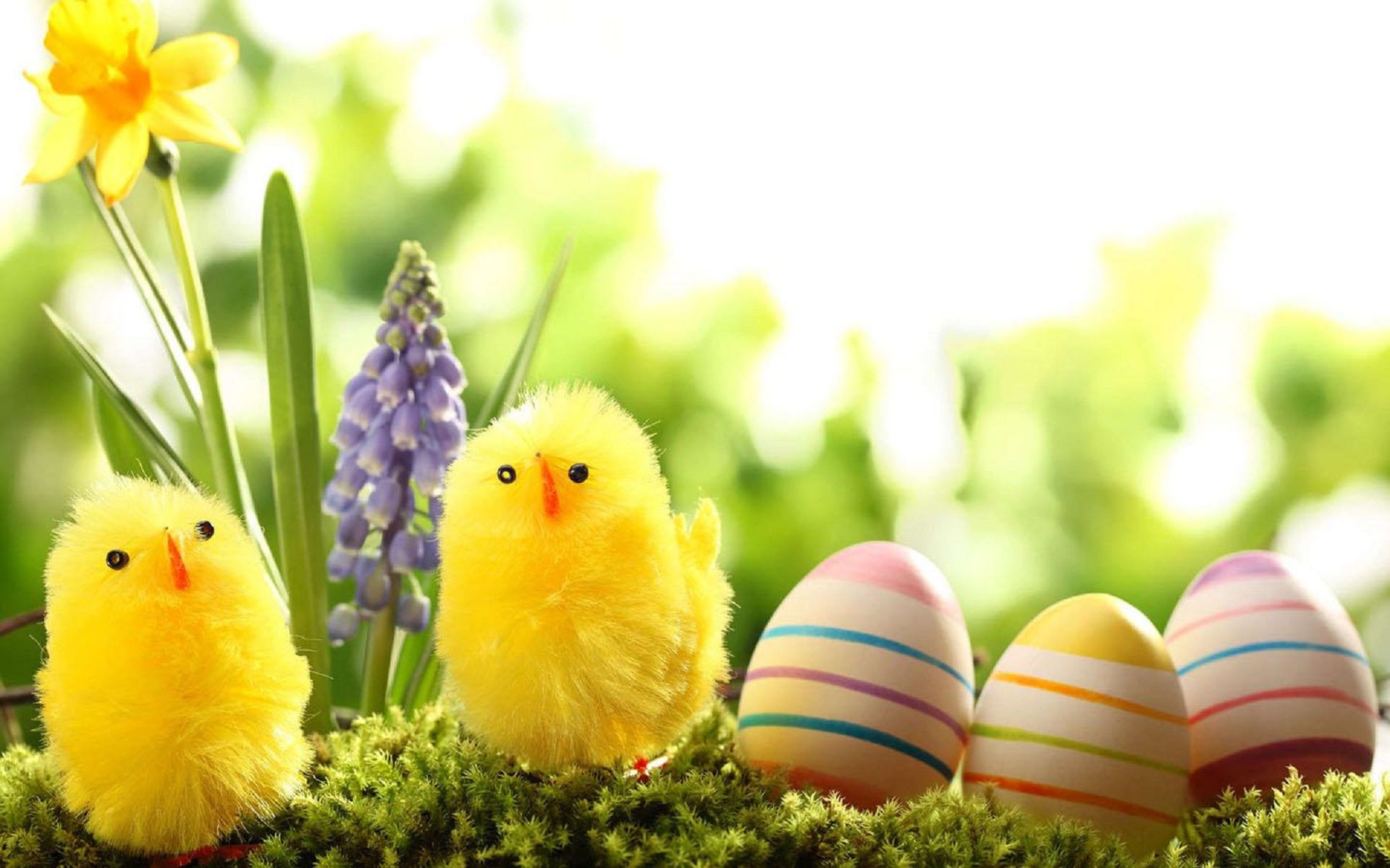 Girly Easter Wallpapers Wallpaper Cave