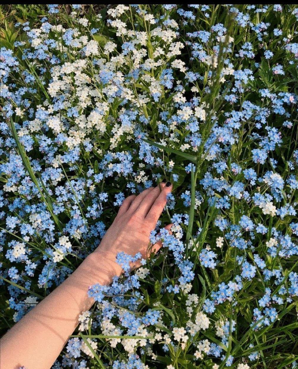 Cottagecore Wallpapers Wallpaper Cave