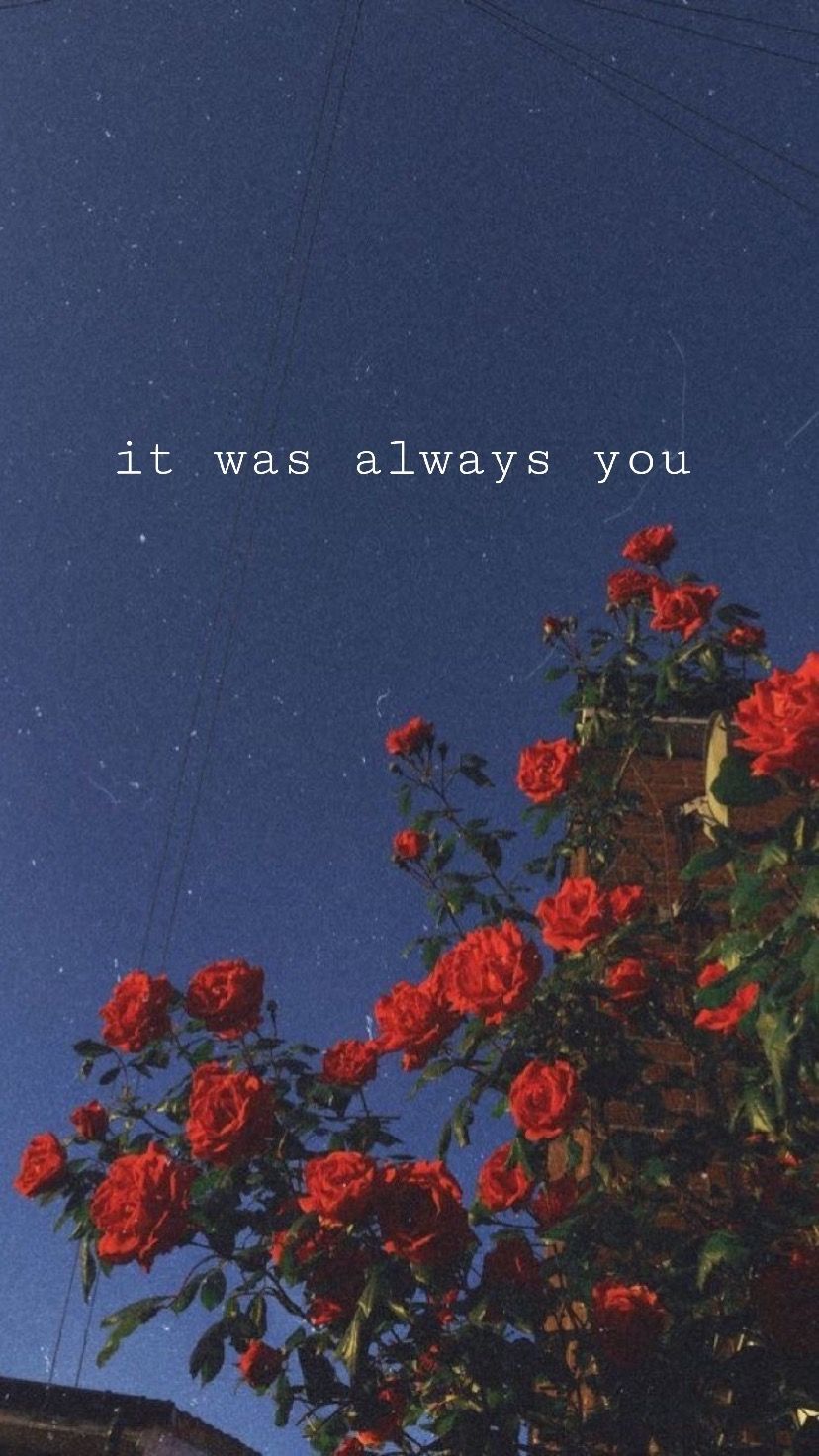 Aesthetic Love For iPhone Wallpapers Wallpaper Cave