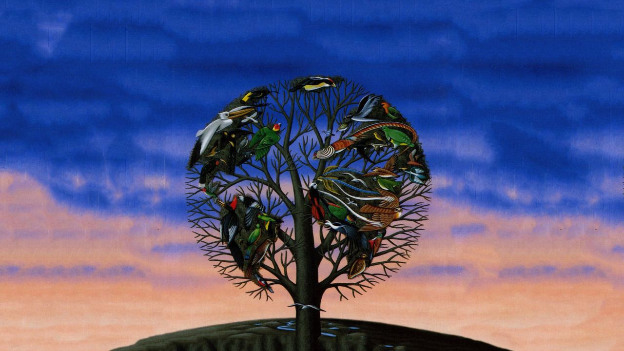 Talk Wallpapers Wallpaper Cave