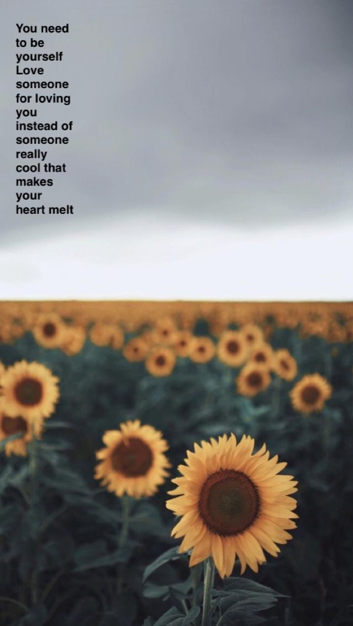 Rex Orange County Desktop Wallpapers Wallpaper Cave