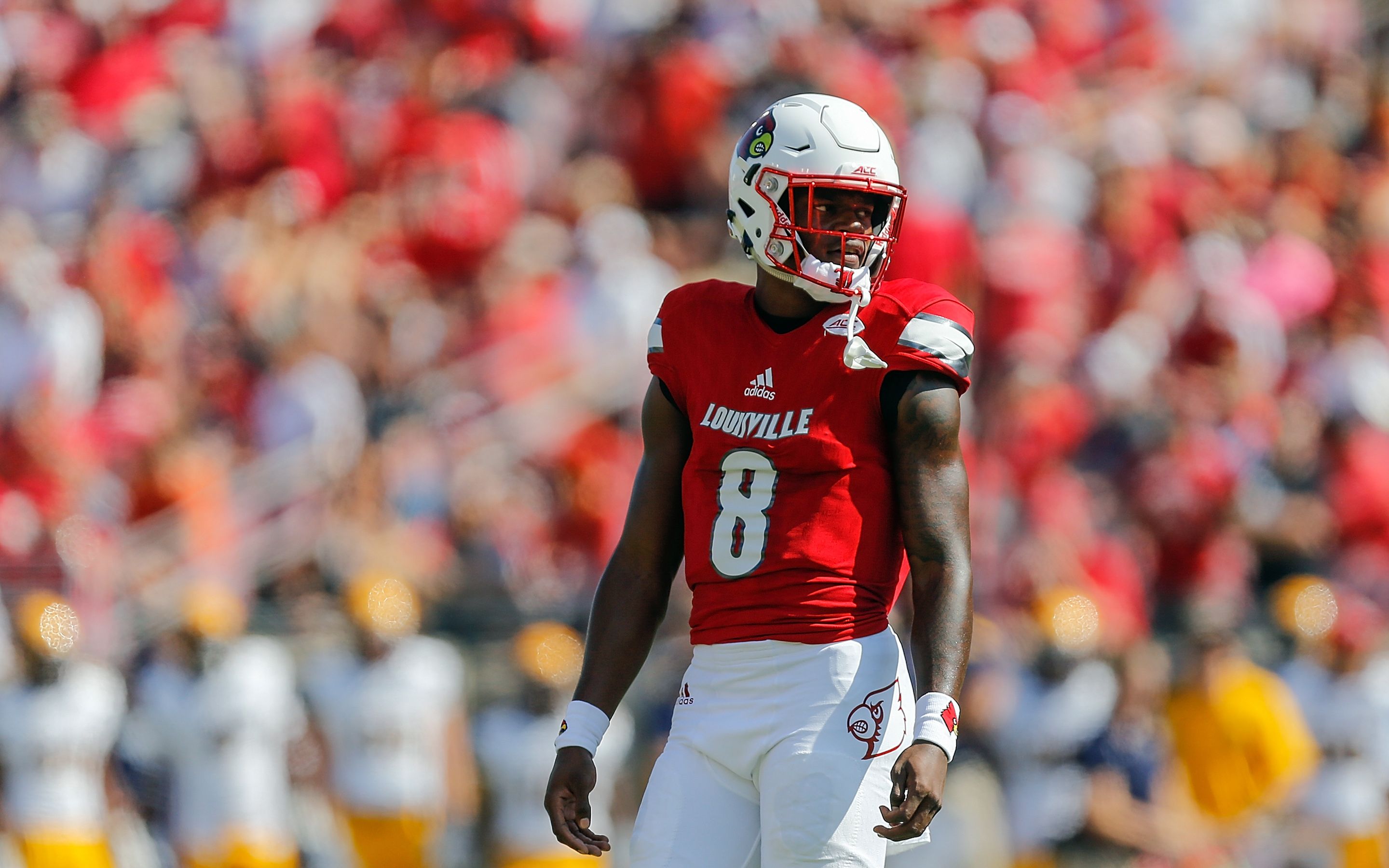 Lamar Jackson Computer Wallpapers Wallpaper Cave