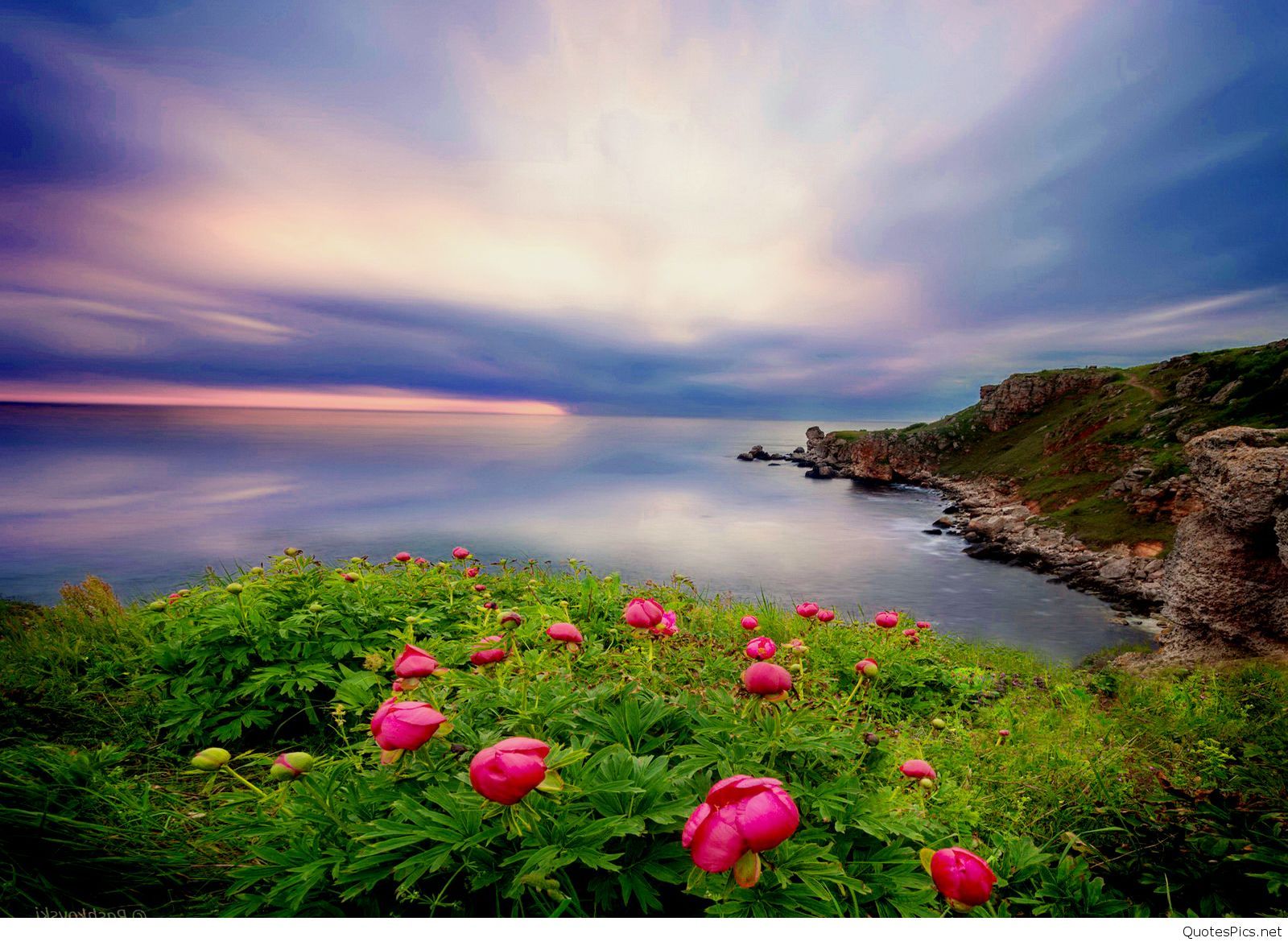 Nature Wallpapers For Desktop Full Size Wallpaper Cave