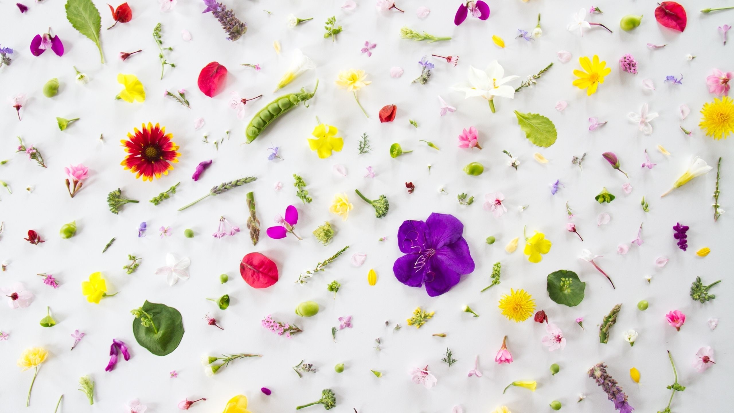 Youtube Channel Art Wallpapers Wallpaper Cave