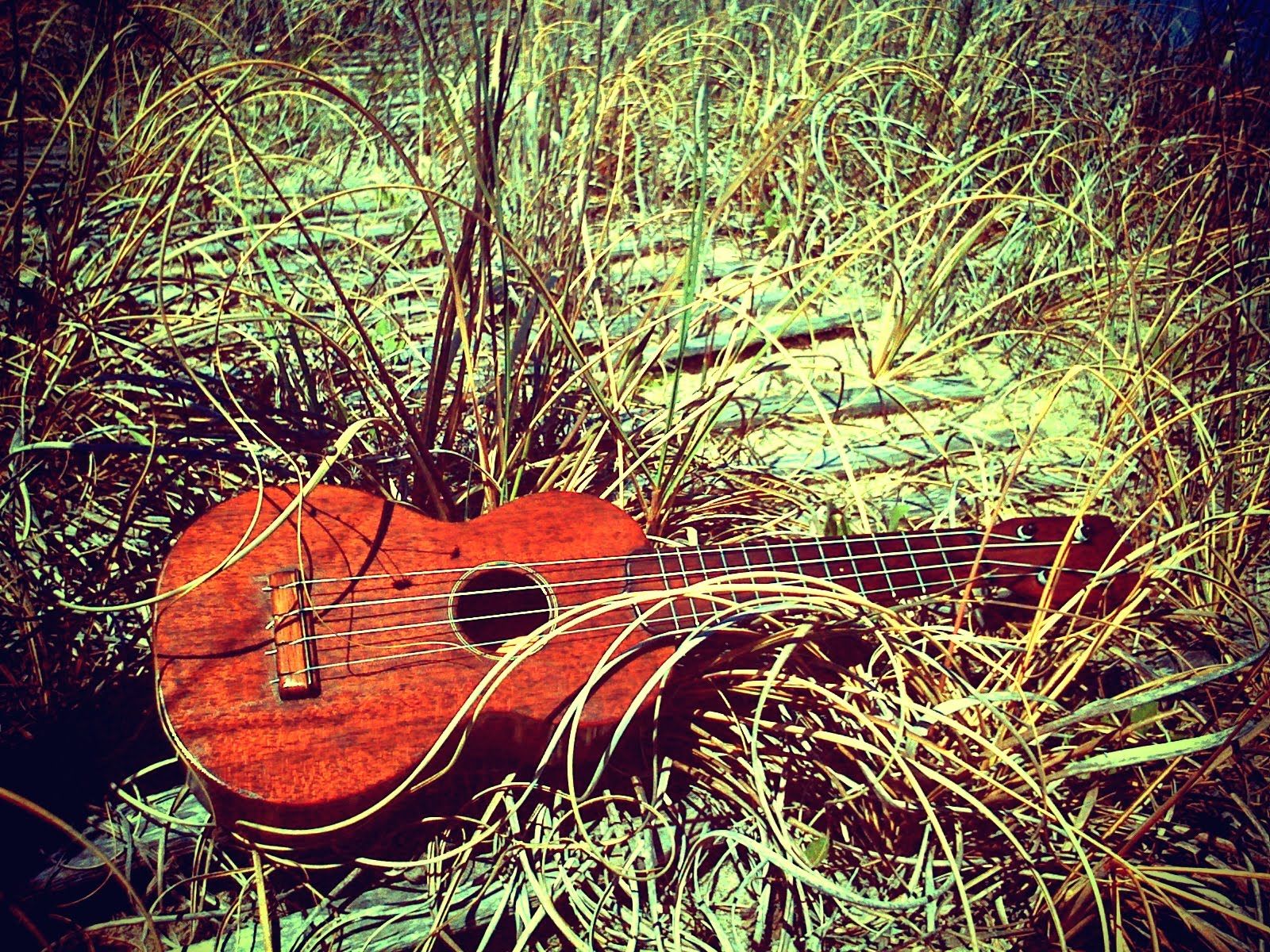 Playing Ukulele Wallpapers Wallpaper Cave