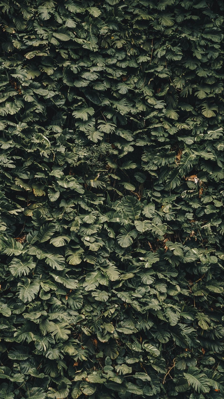 Army Green iPhone Wallpapers Wallpaper Cave