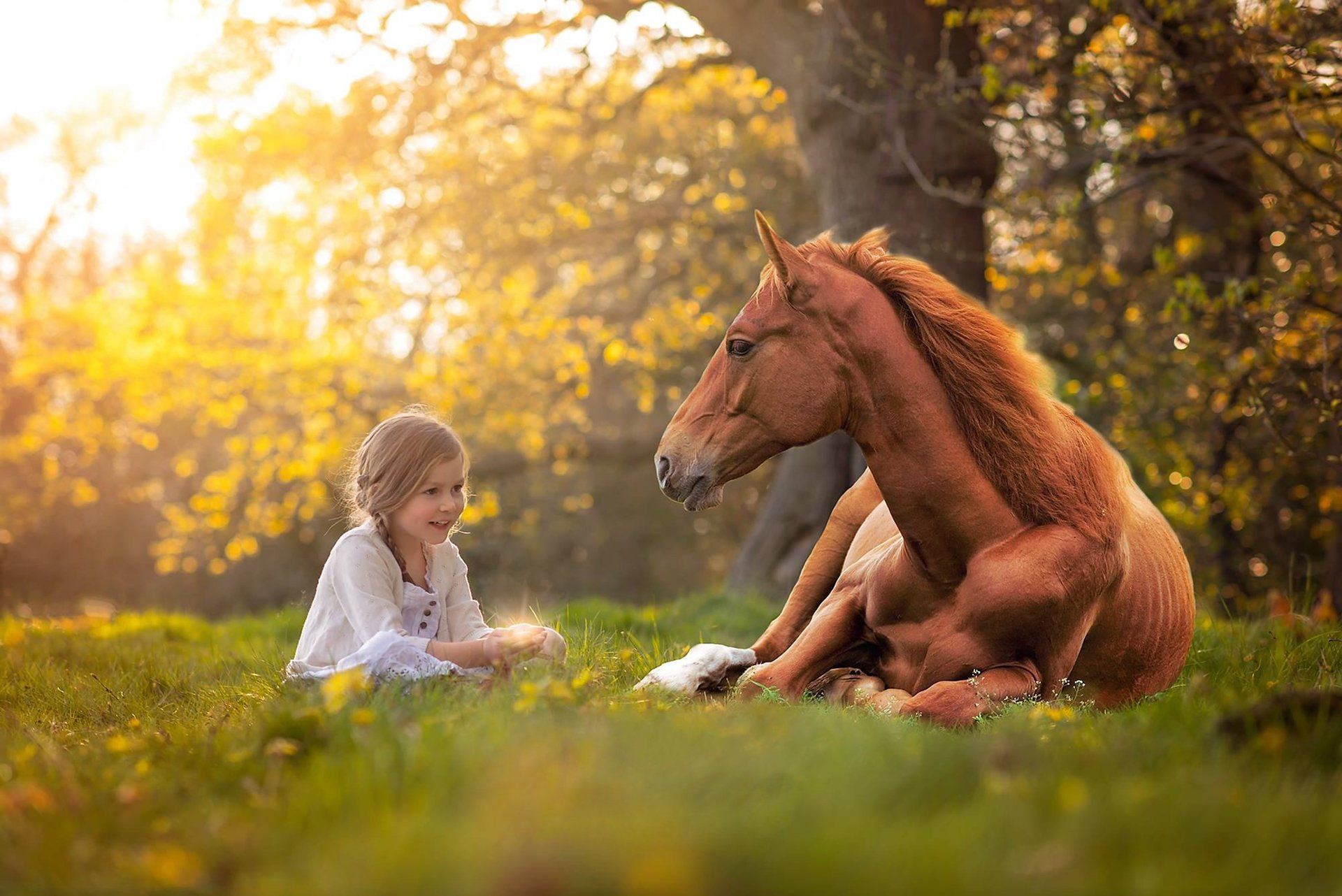 Little Girl And Horse Wallpapers Wallpaper Cave
