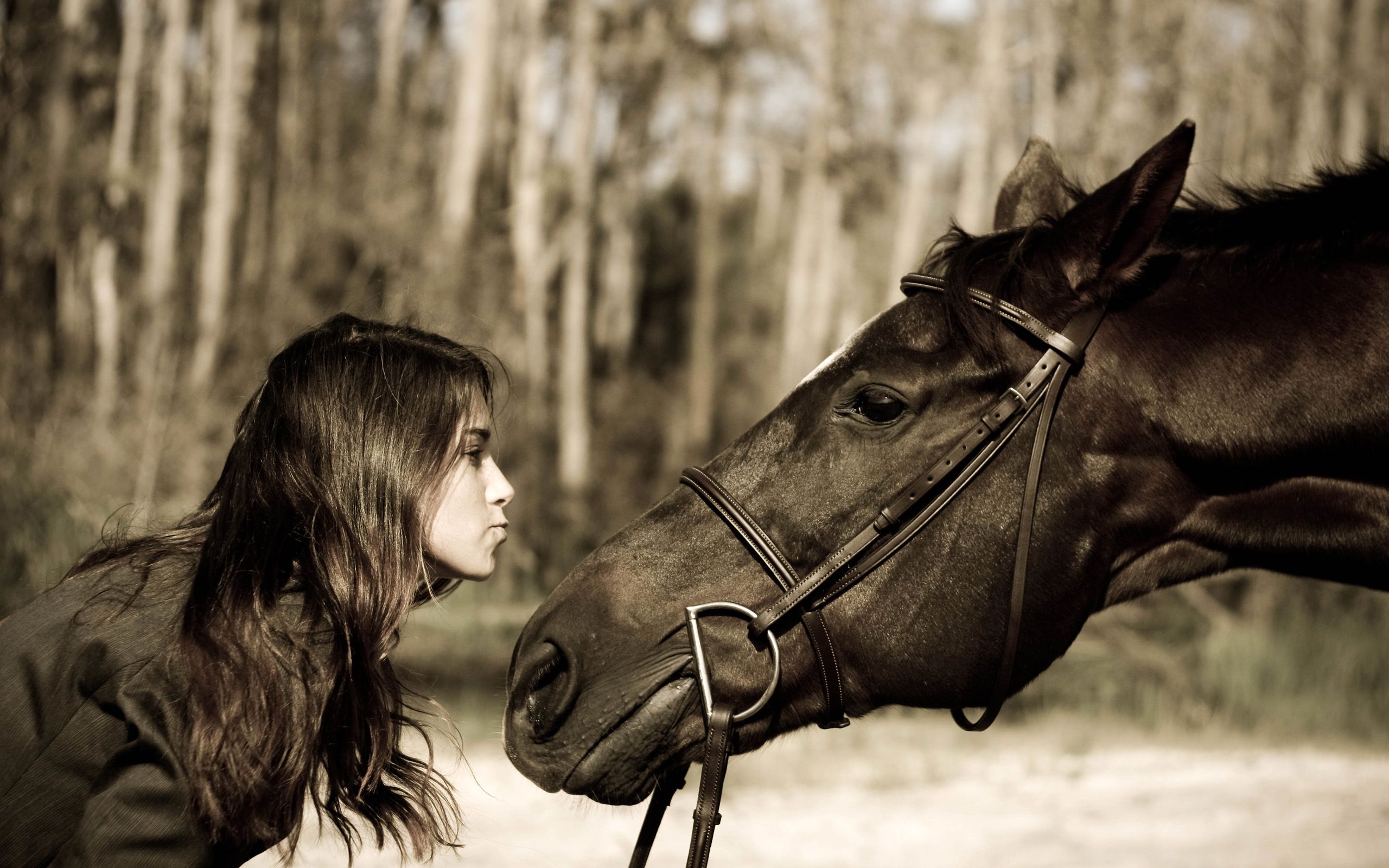 Girl And Horse Wallpapers Wallpaper Cave
