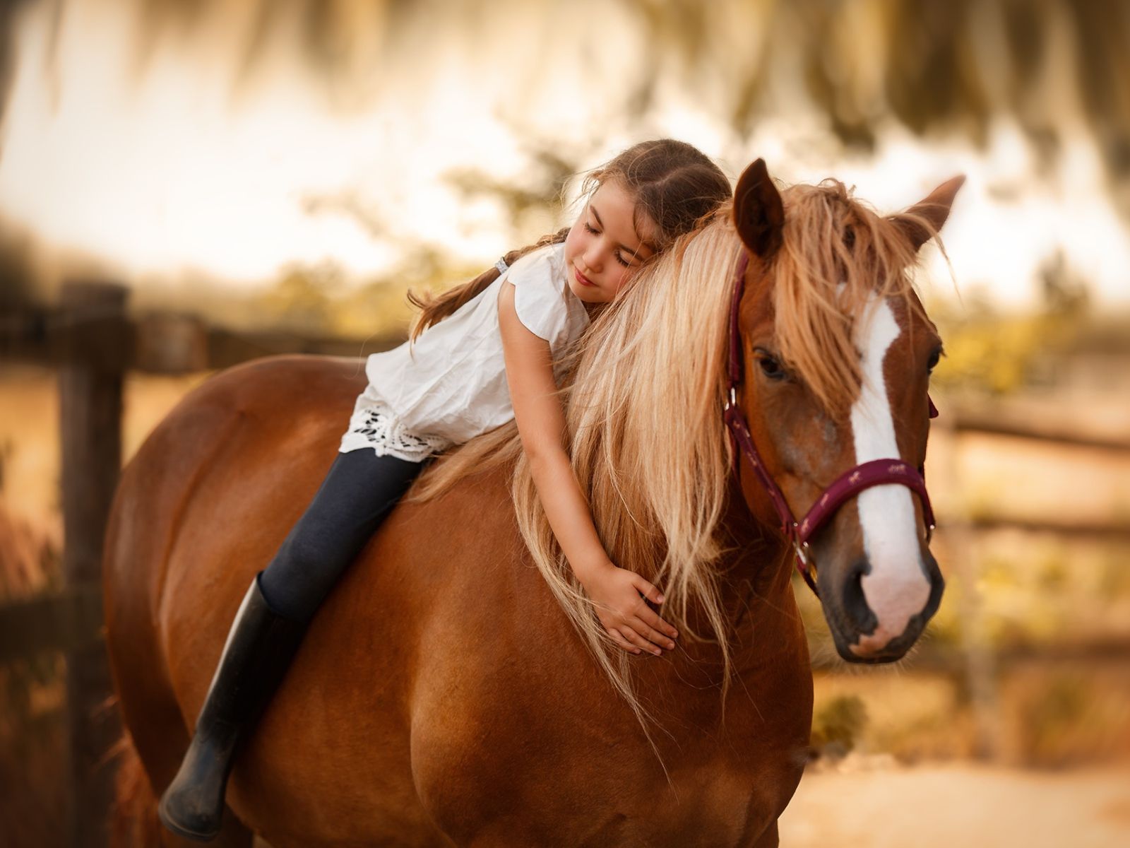 Girl And Horse Wallpapers Wallpaper Cave