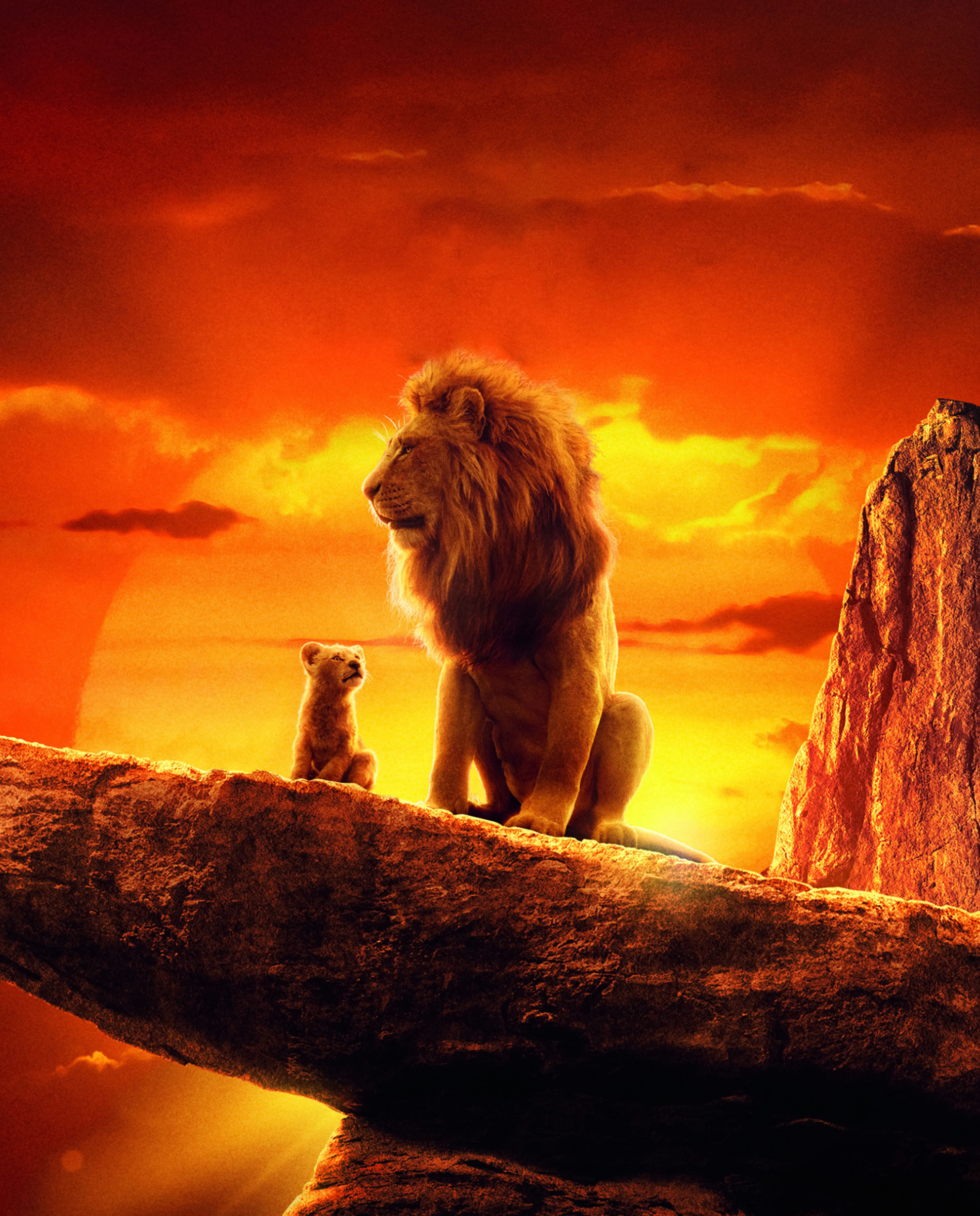 Lion King Sunset Background