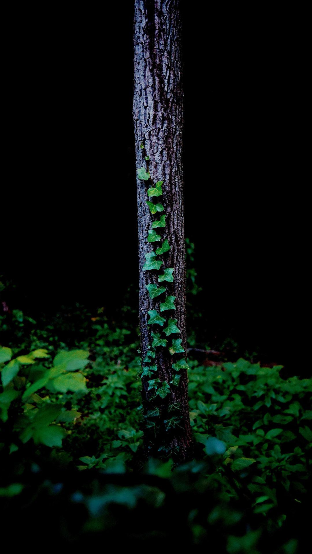 Amoled Green Android Wallpapers Wallpaper Cave