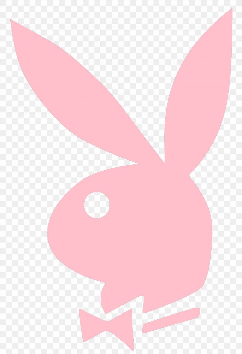 Playboy Logo Aesthetic Wallpapers Wallpaper Cave