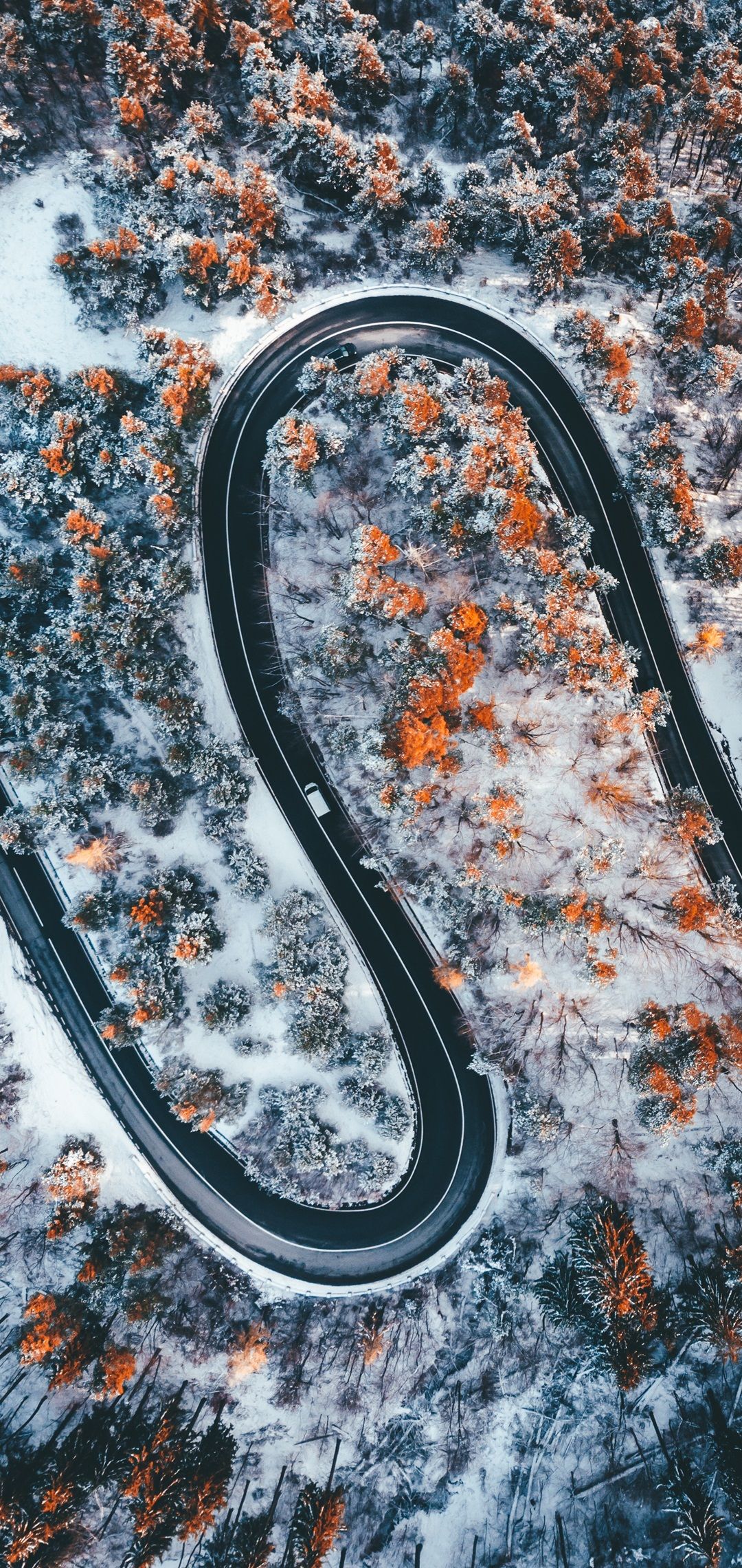 Asus Mobile Zenfone Max Pro M2 Wallpapers Wallpaper Cave