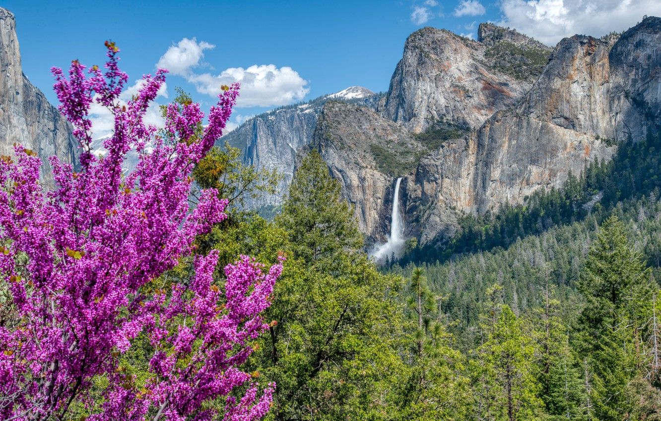 Yosemite Spring Wallpapers Wallpaper Cave