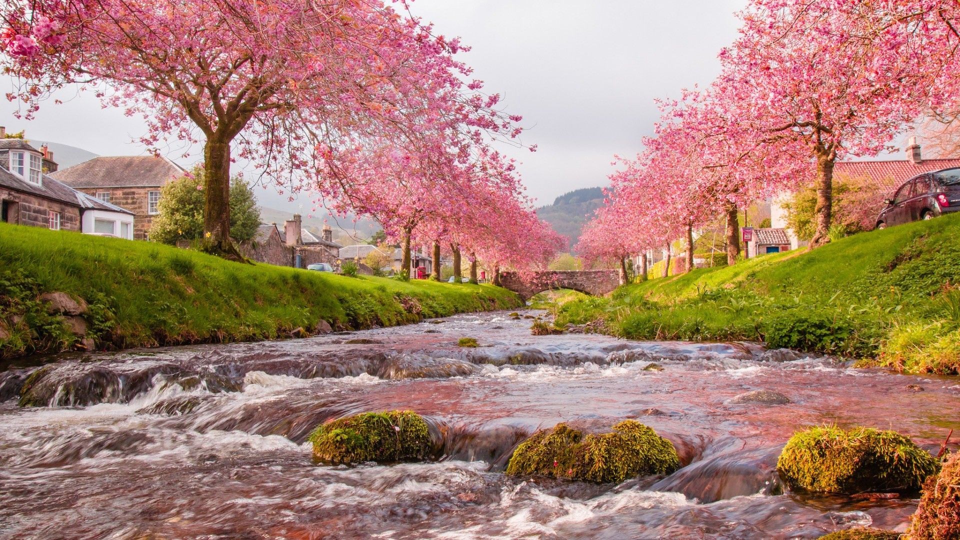 River In Spring Wallpapers Wallpaper Cave