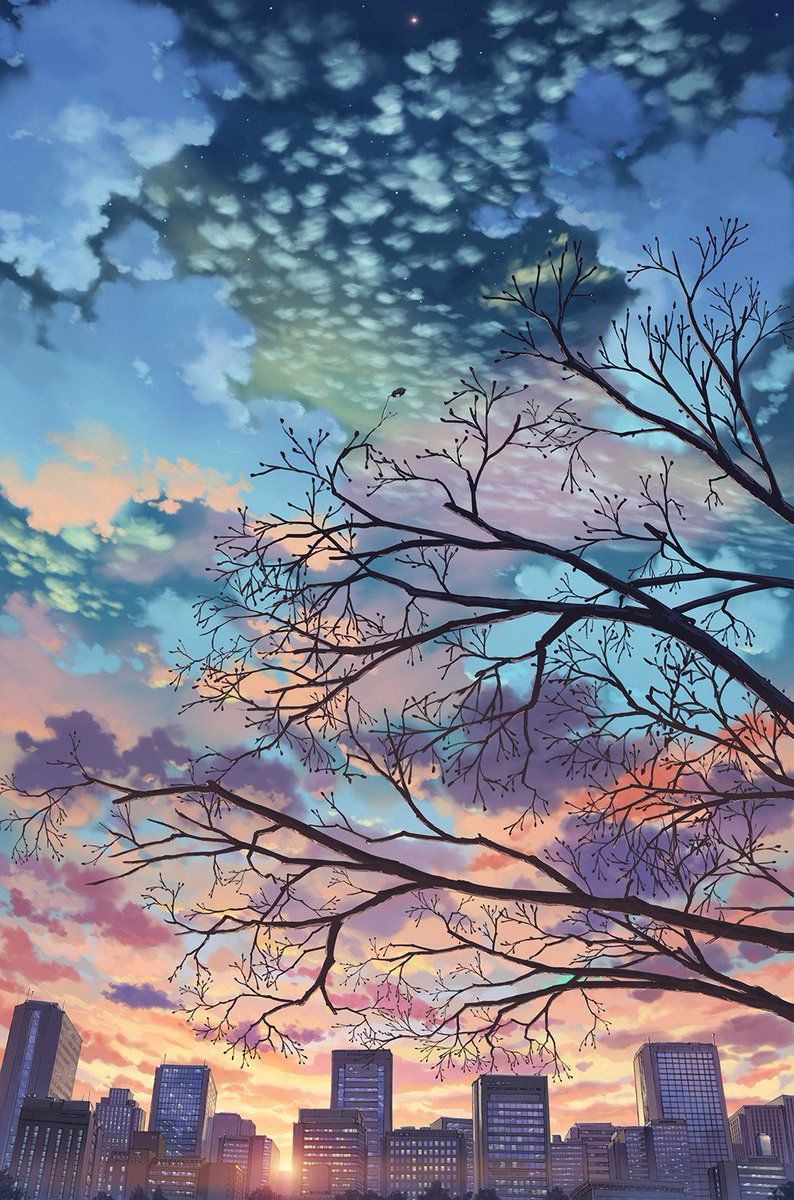 Anime Sky Sunset Wallpapers Wallpaper Cave