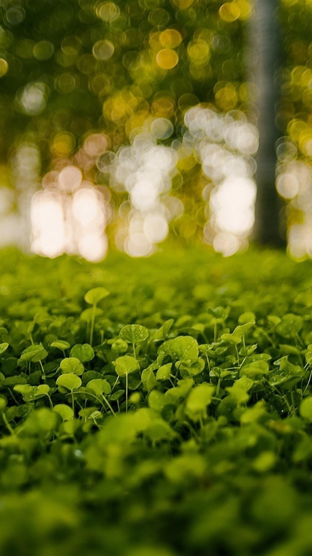 Blur Nature HD Mobile Wallpapers Wallpaper Cave