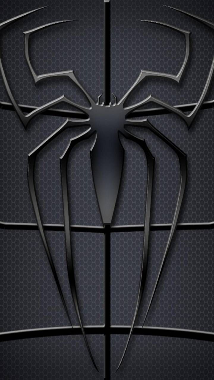 Black Spider Wallpapers Wallpaper Cave
