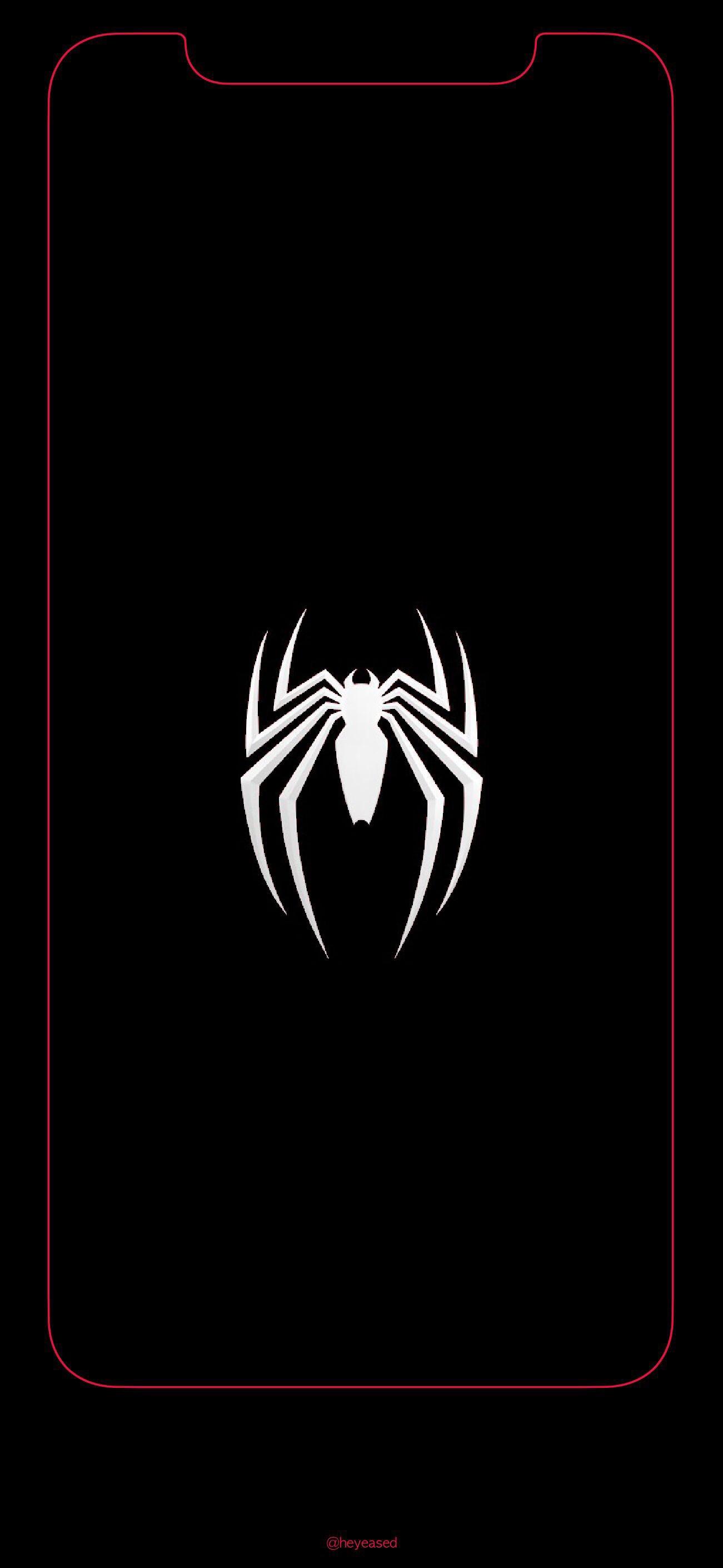 Black Spider Wallpapers Wallpaper Cave