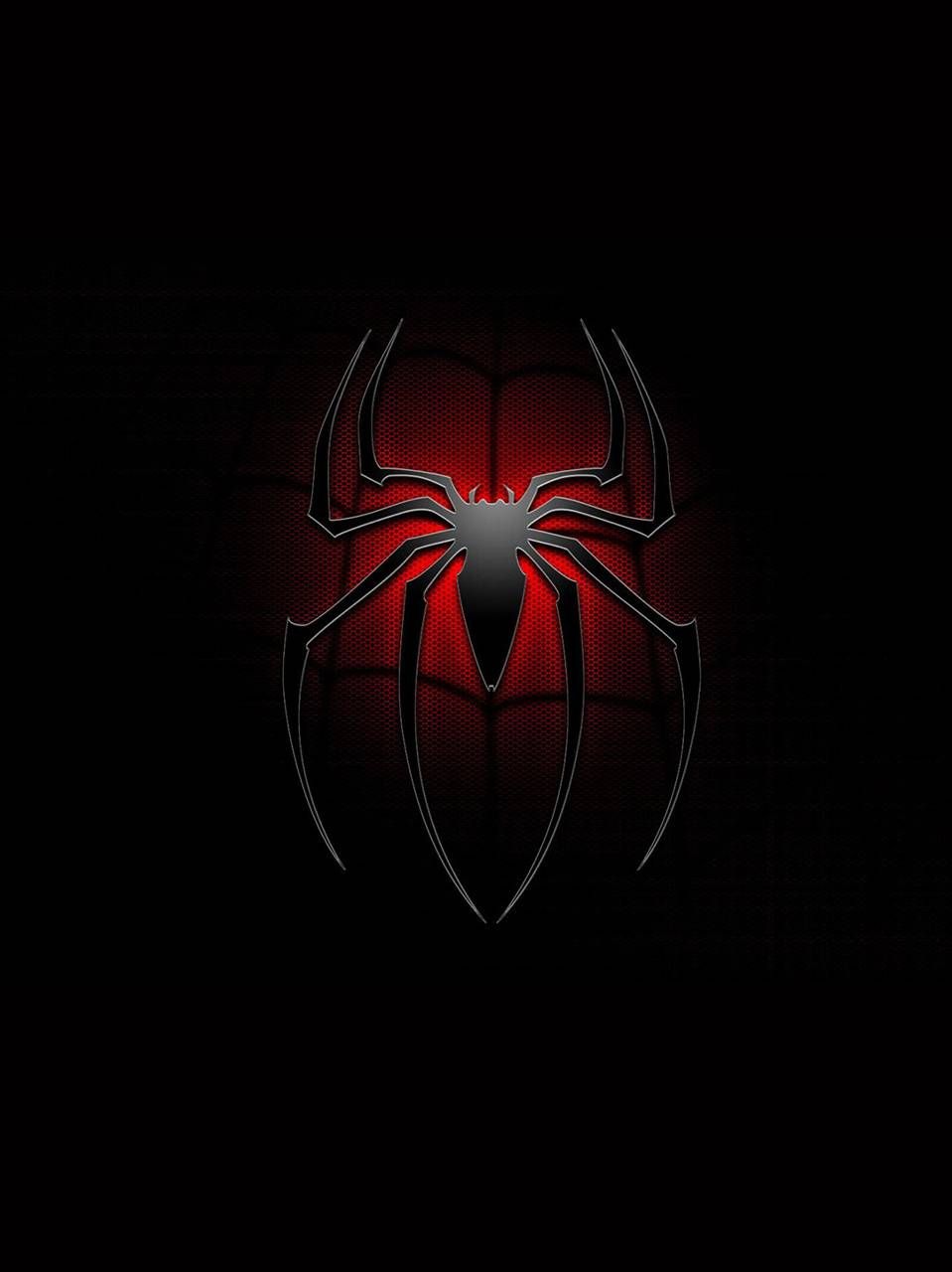 Black Spider Wallpapers Wallpaper Cave