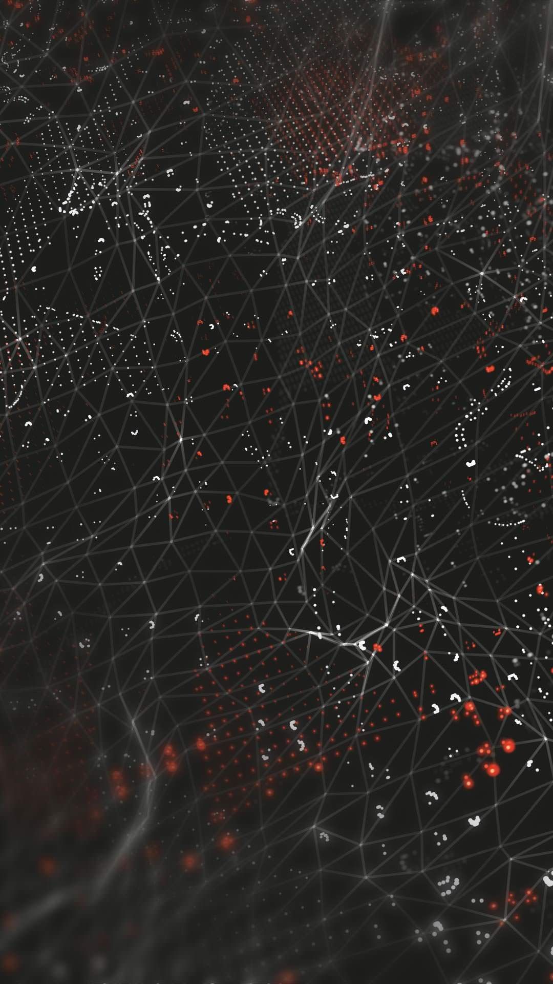 Black Spider Wallpapers Wallpaper Cave