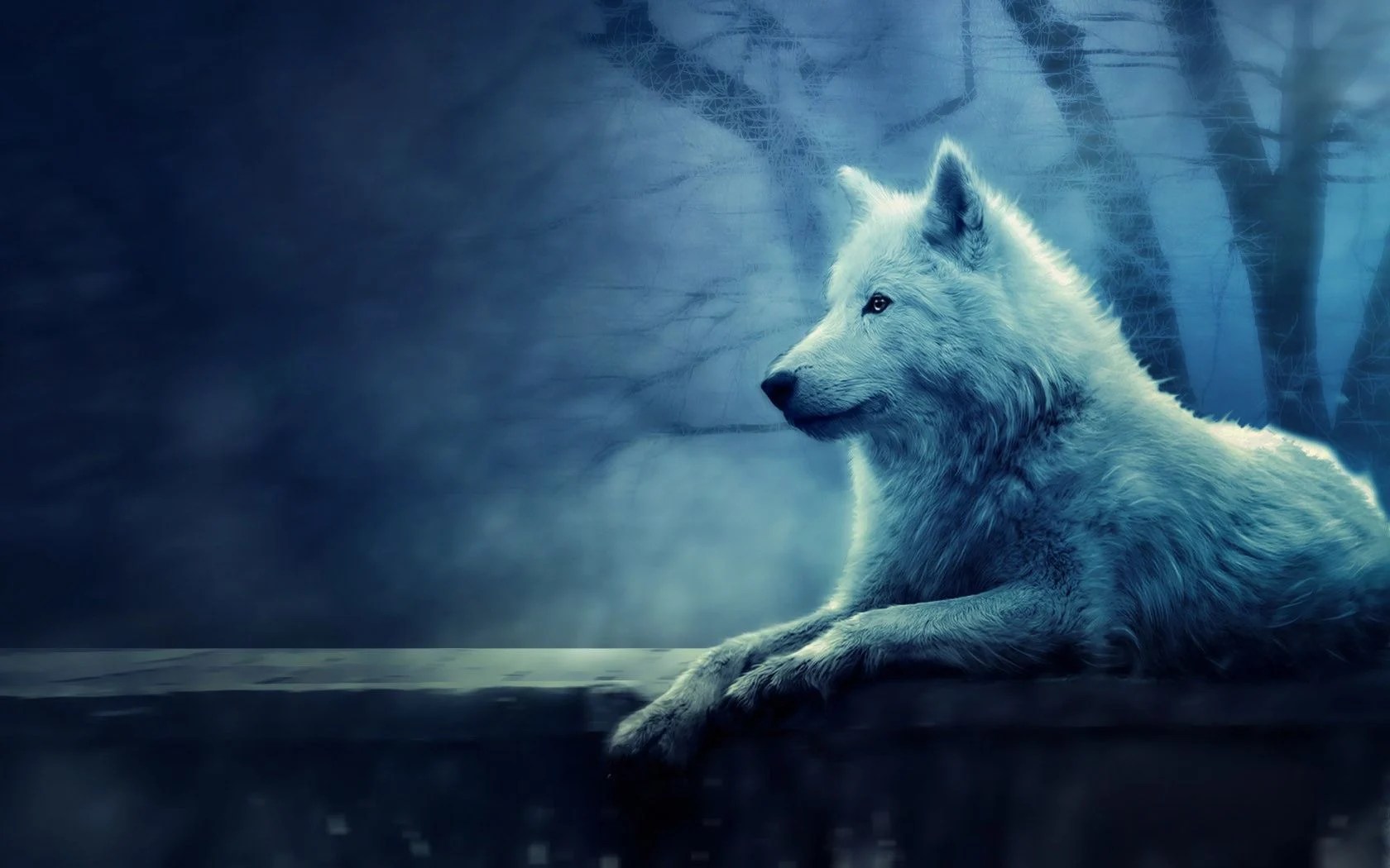 Blue Wolf Wallpaper
