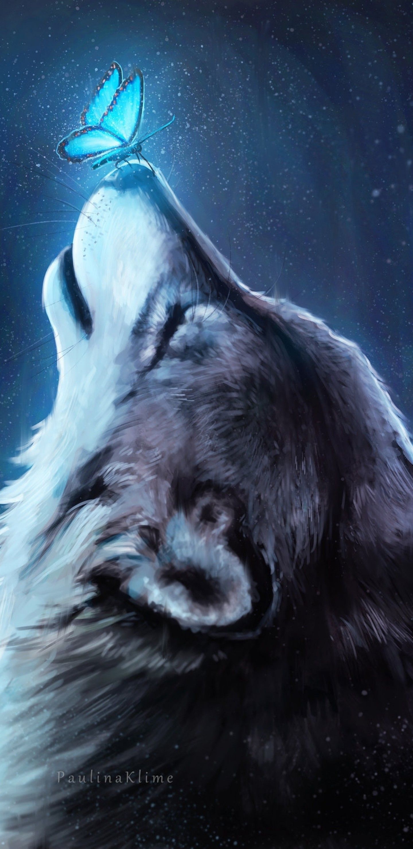 Blue Wolf Wallpapers Wallpaper Cave