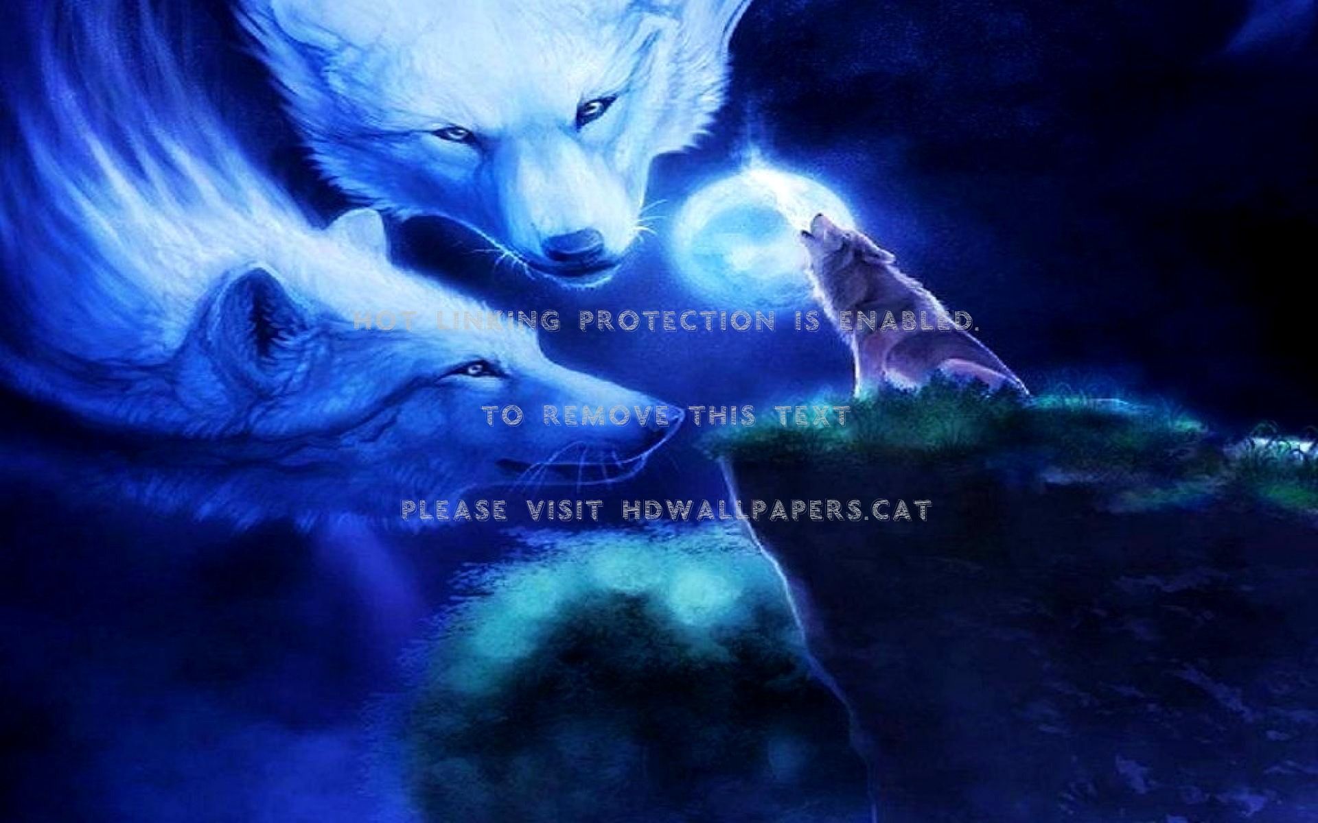 Blue Wolf Wallpapers Wallpaper Cave