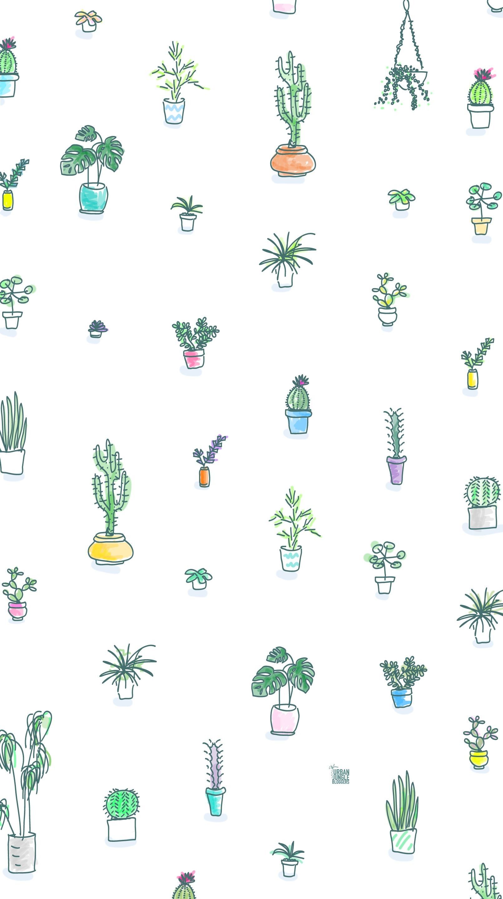 Cute Spring And Summer Wallpapers Wallpaper Cave