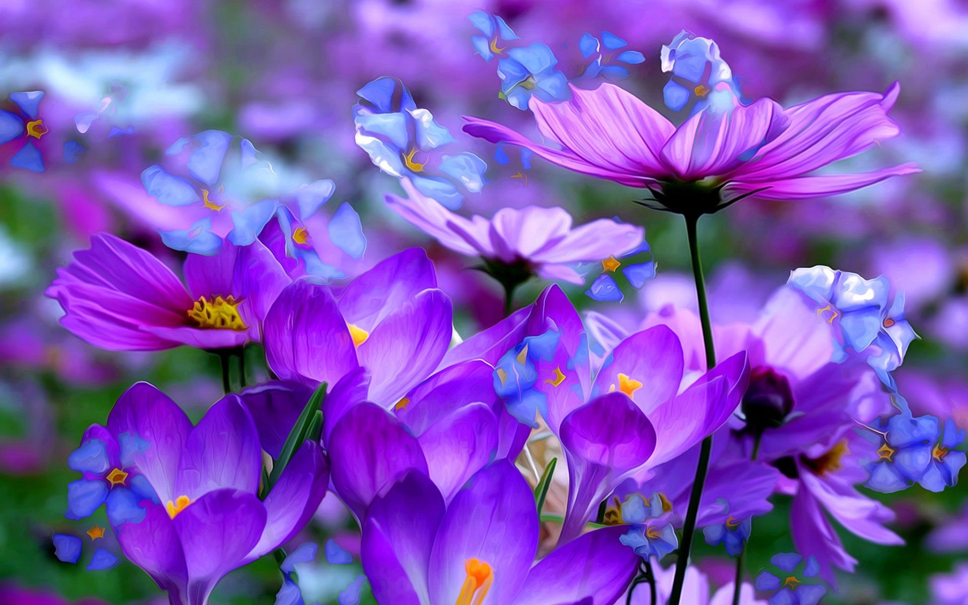 Spring Purple Wallpapers Wallpaper Cave