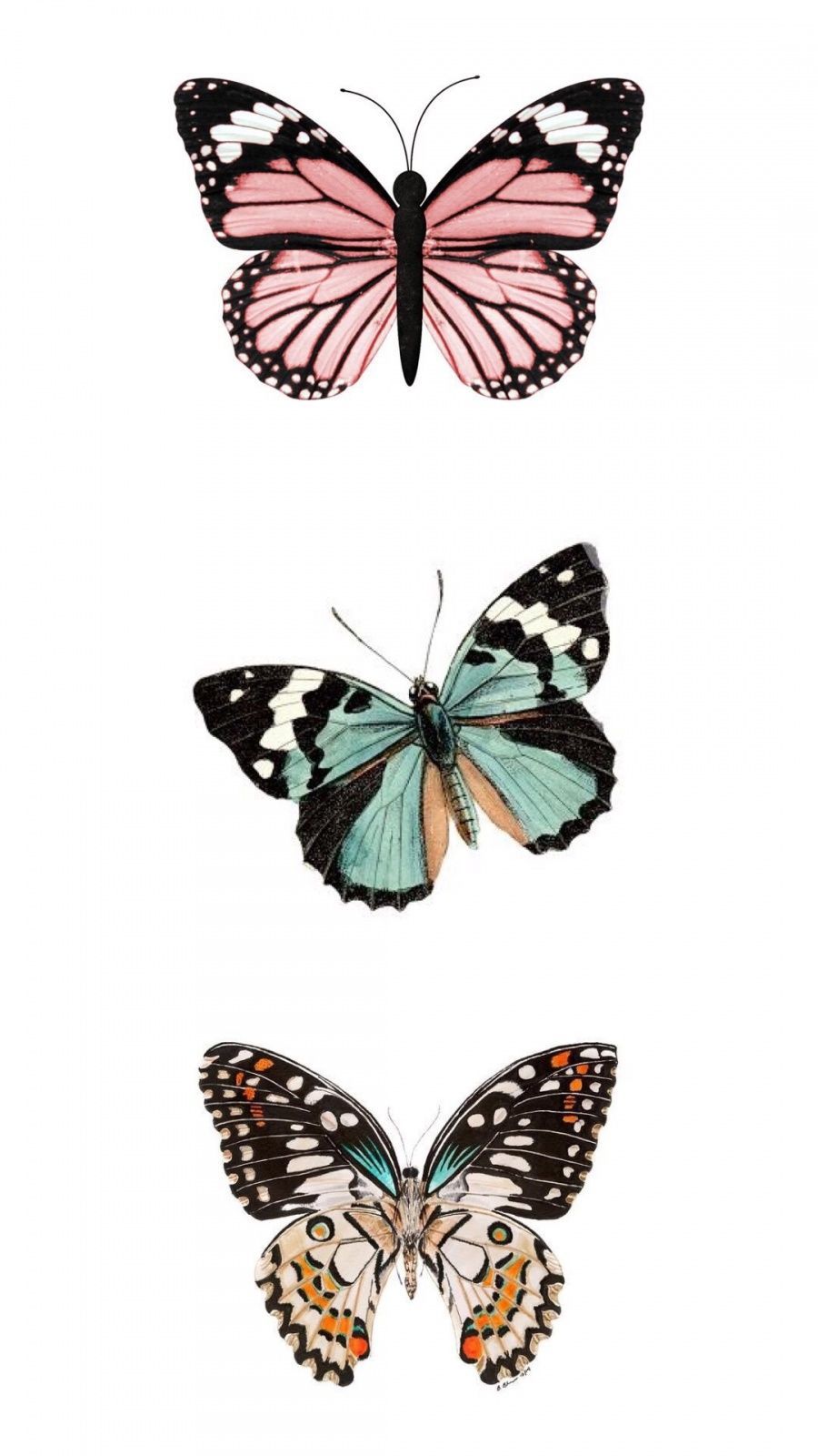 VSCO Butterflies Wallpapers Wallpaper Cave