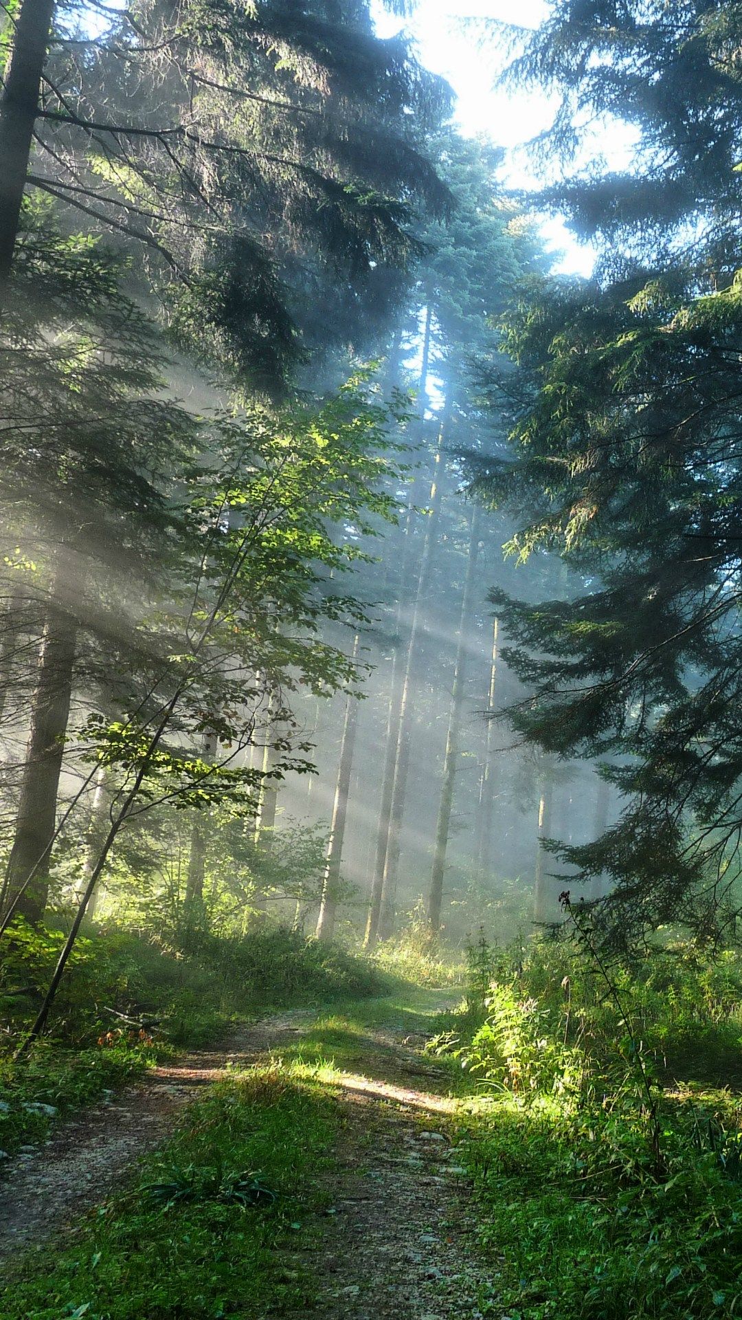 Nature iPhone X Wallpapers Wallpaper Cave