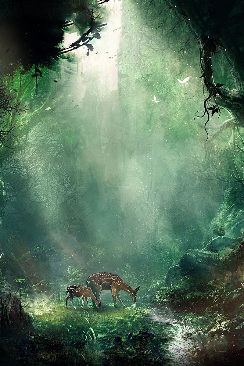 HD iPhone Jungle Wallpapers Wallpaper Cave