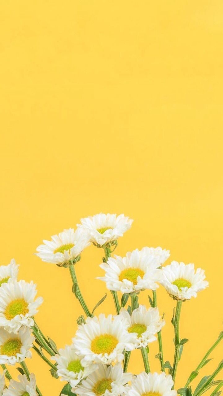 iPhone Tumblr Yellow Wallpapers Wallpaper Cave