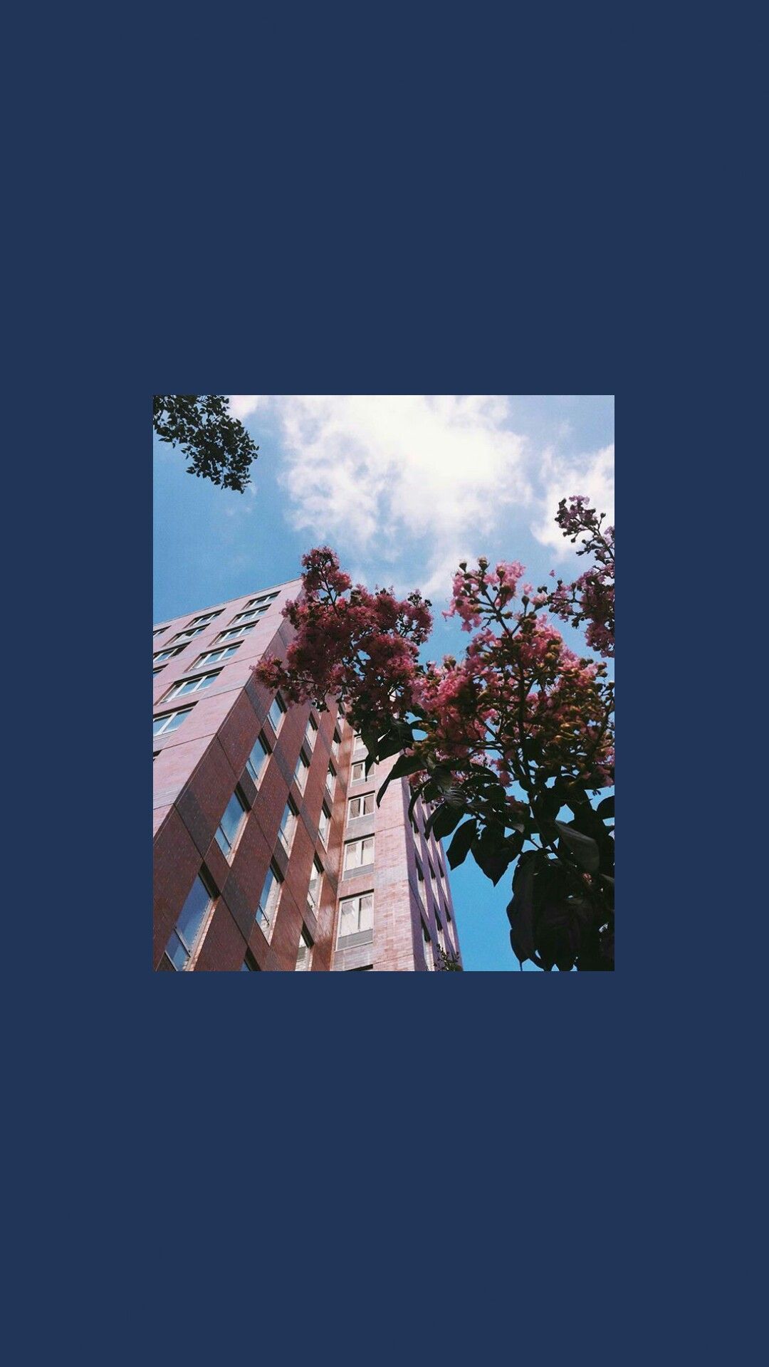 Aesthetics Full Screen Wallpapers Wallpaper Cave